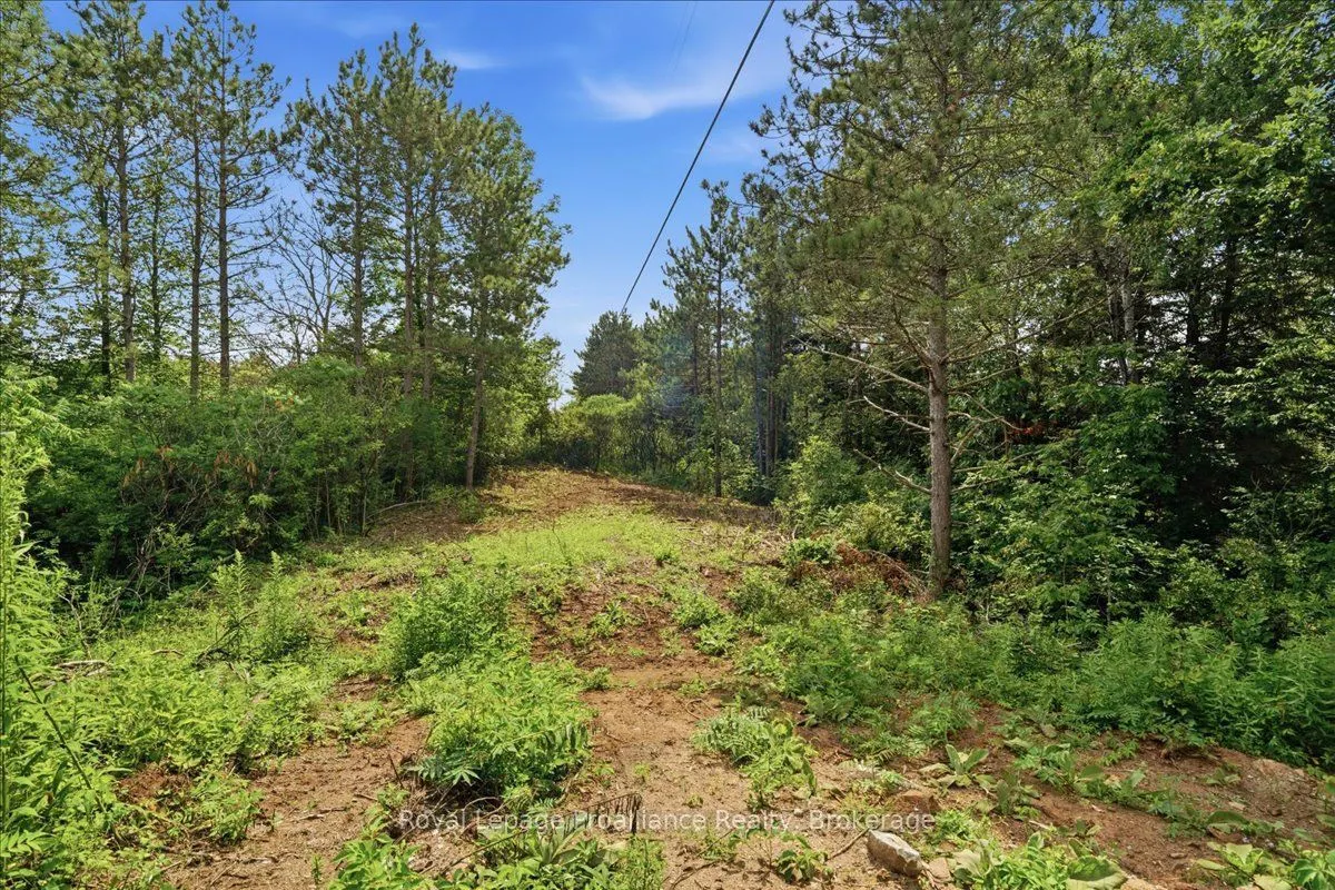 00 Otter Creek Road