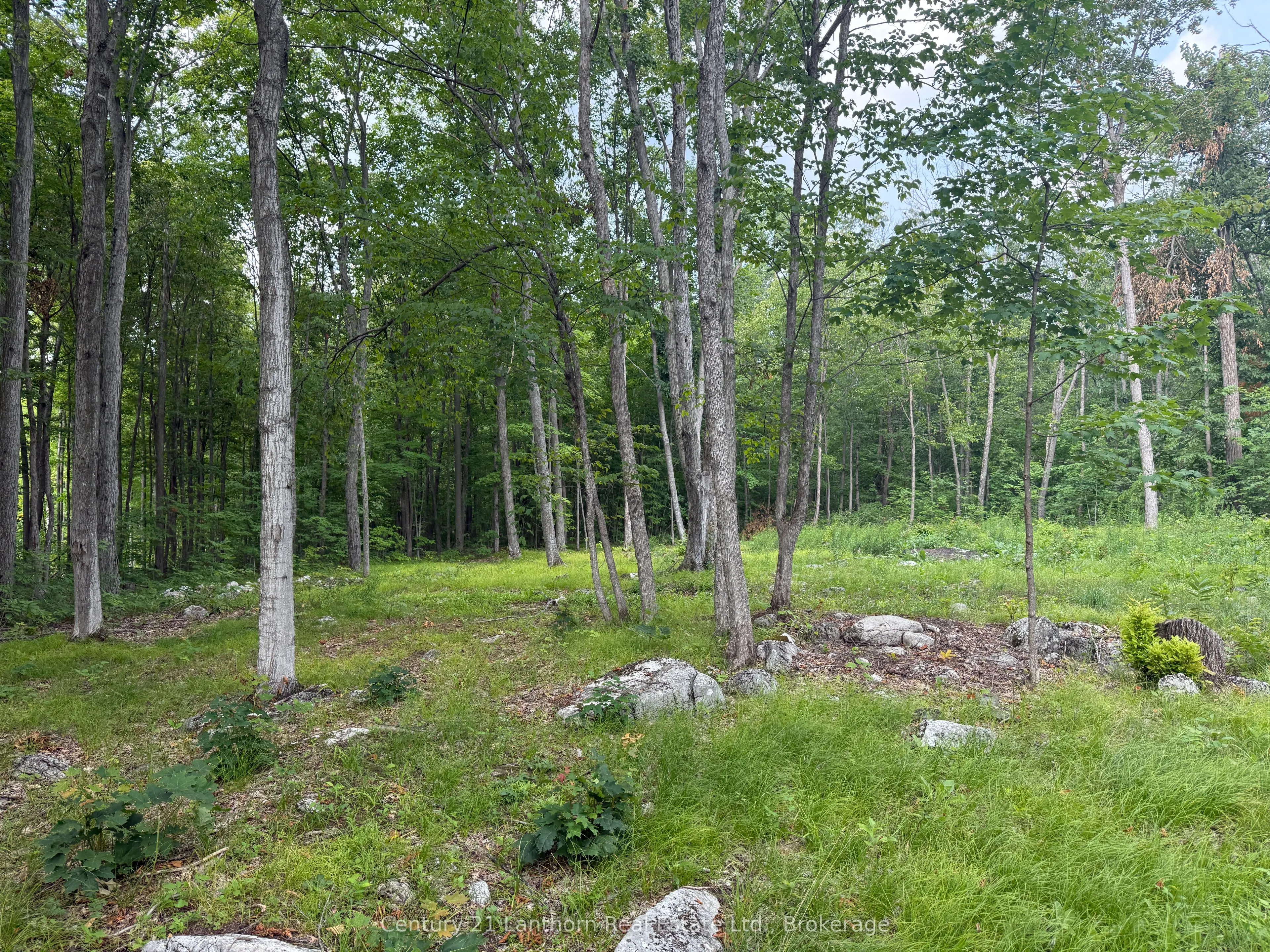 554 Pigden Road