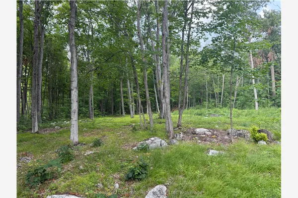 554 Pigden Road