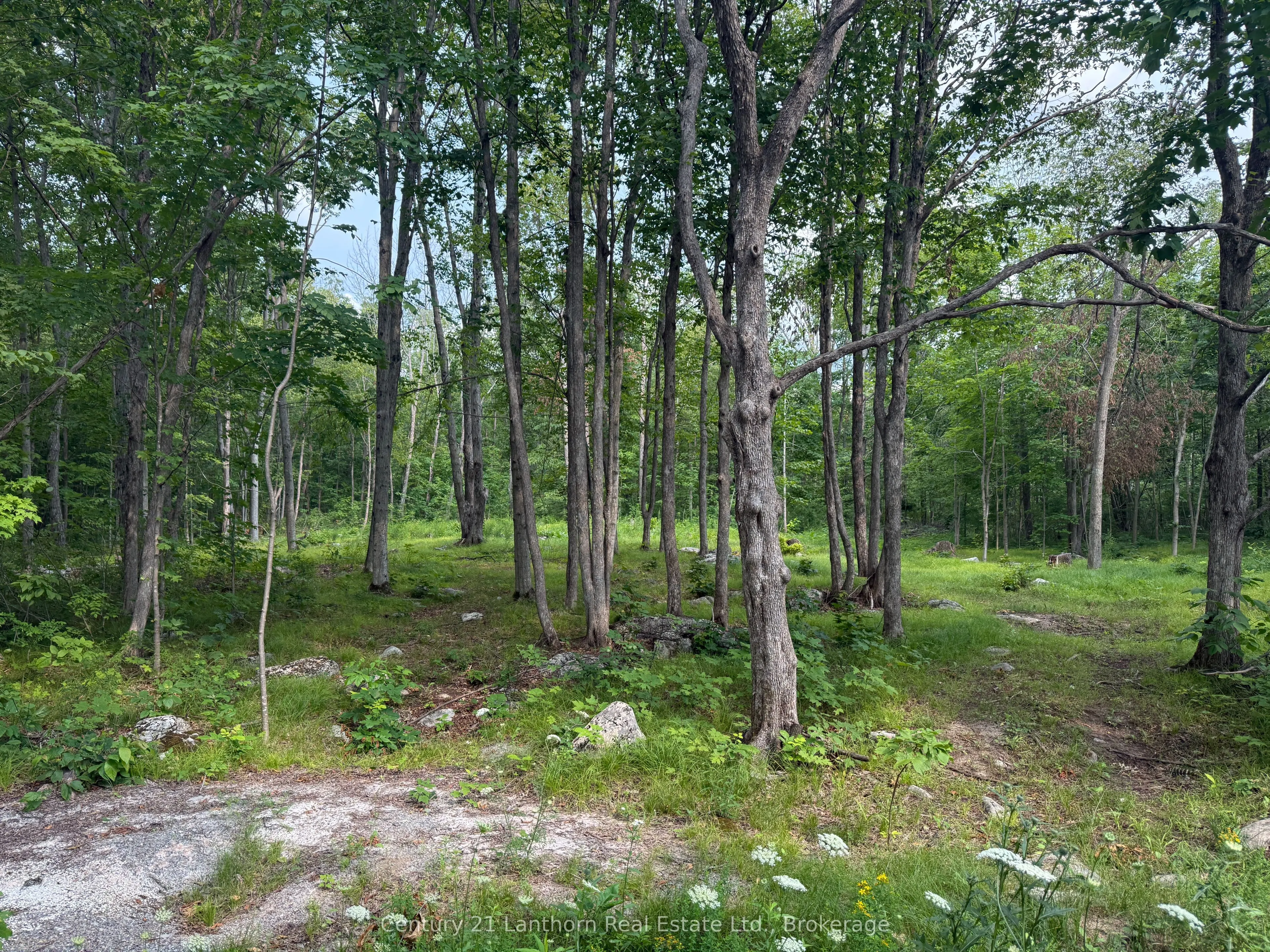554 Pigden Road