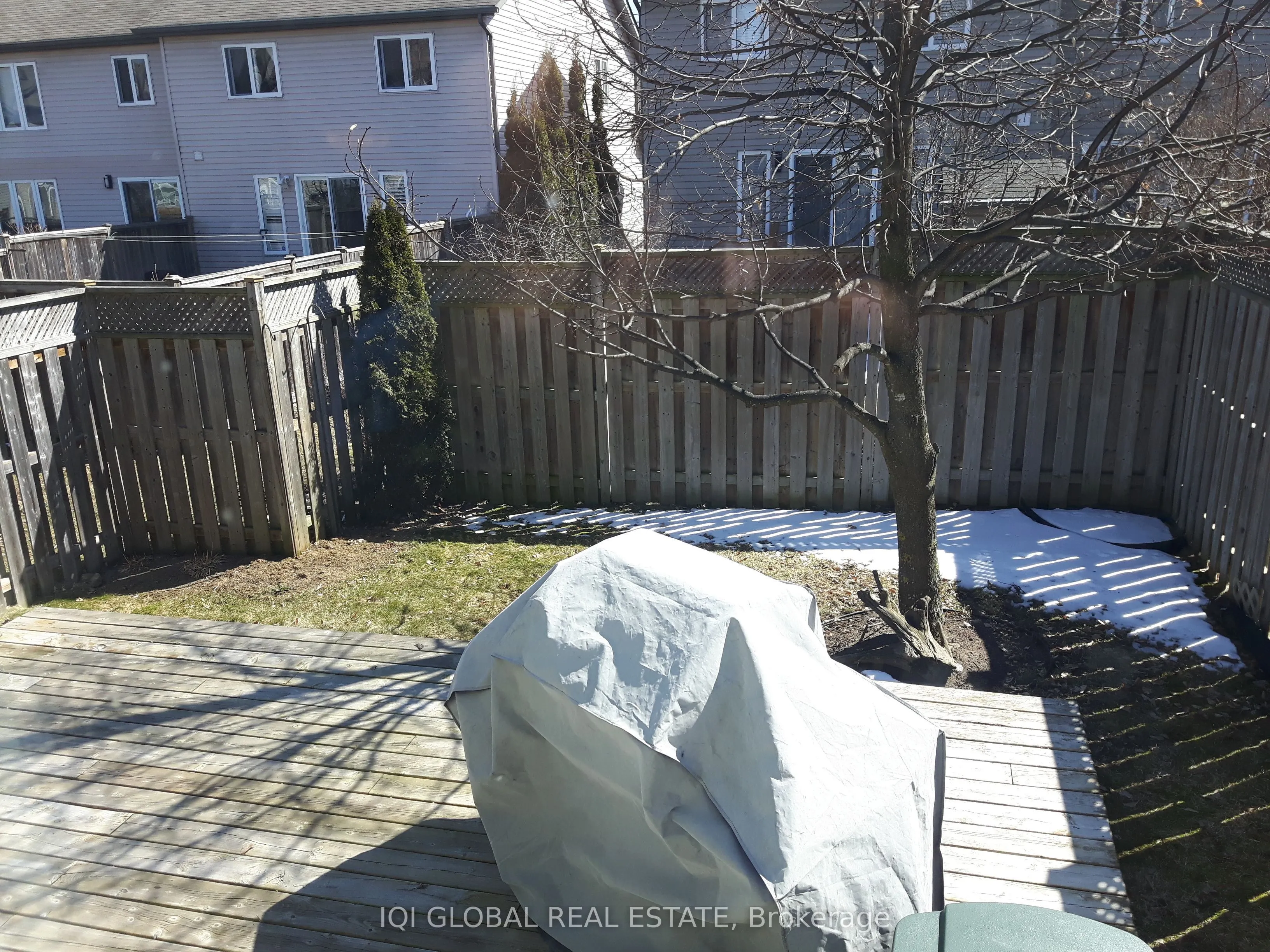 565 Wild Iris Avenue