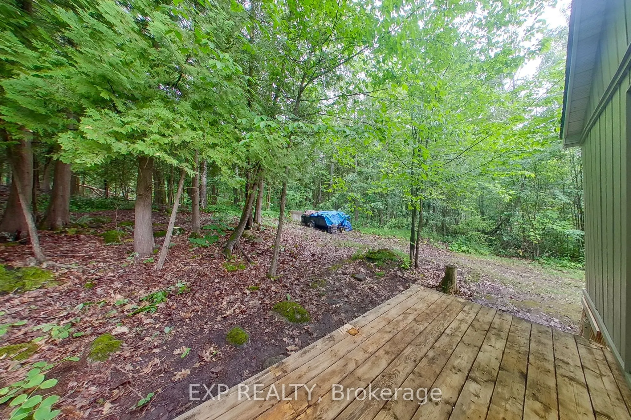 360 Cedar Avenue