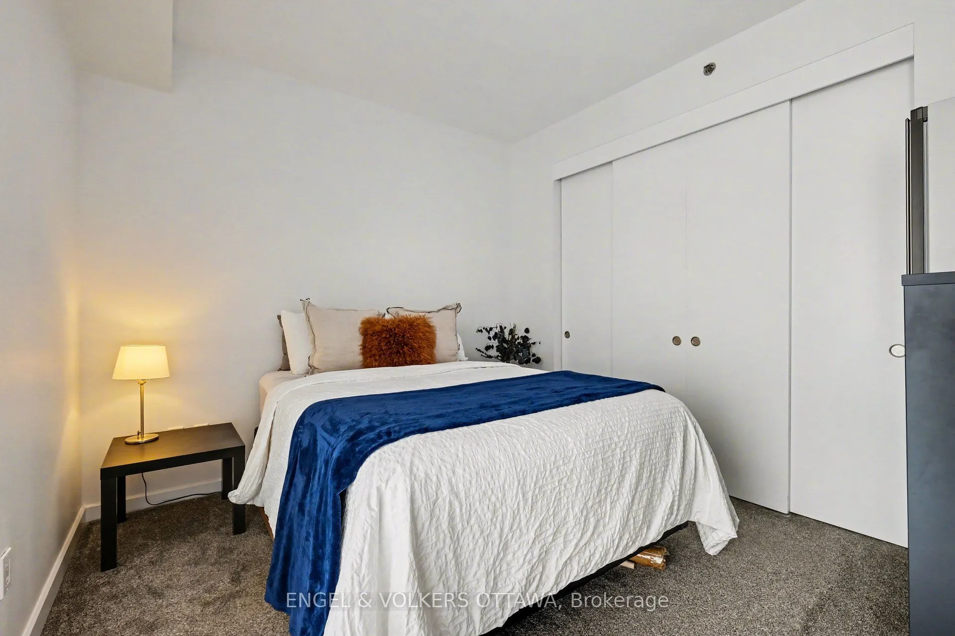 300 Lisgar Street #513