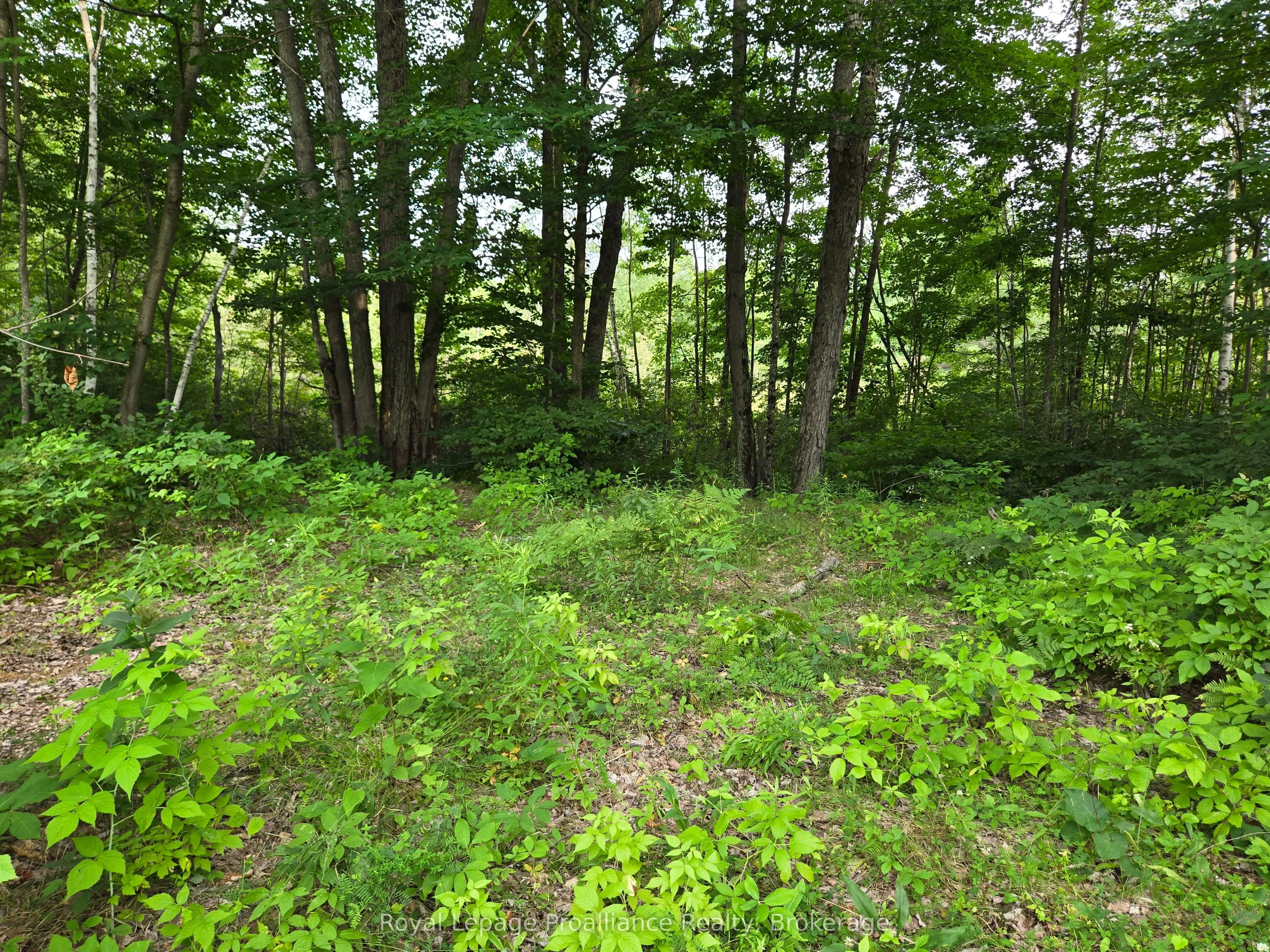 1446 Flinton Road