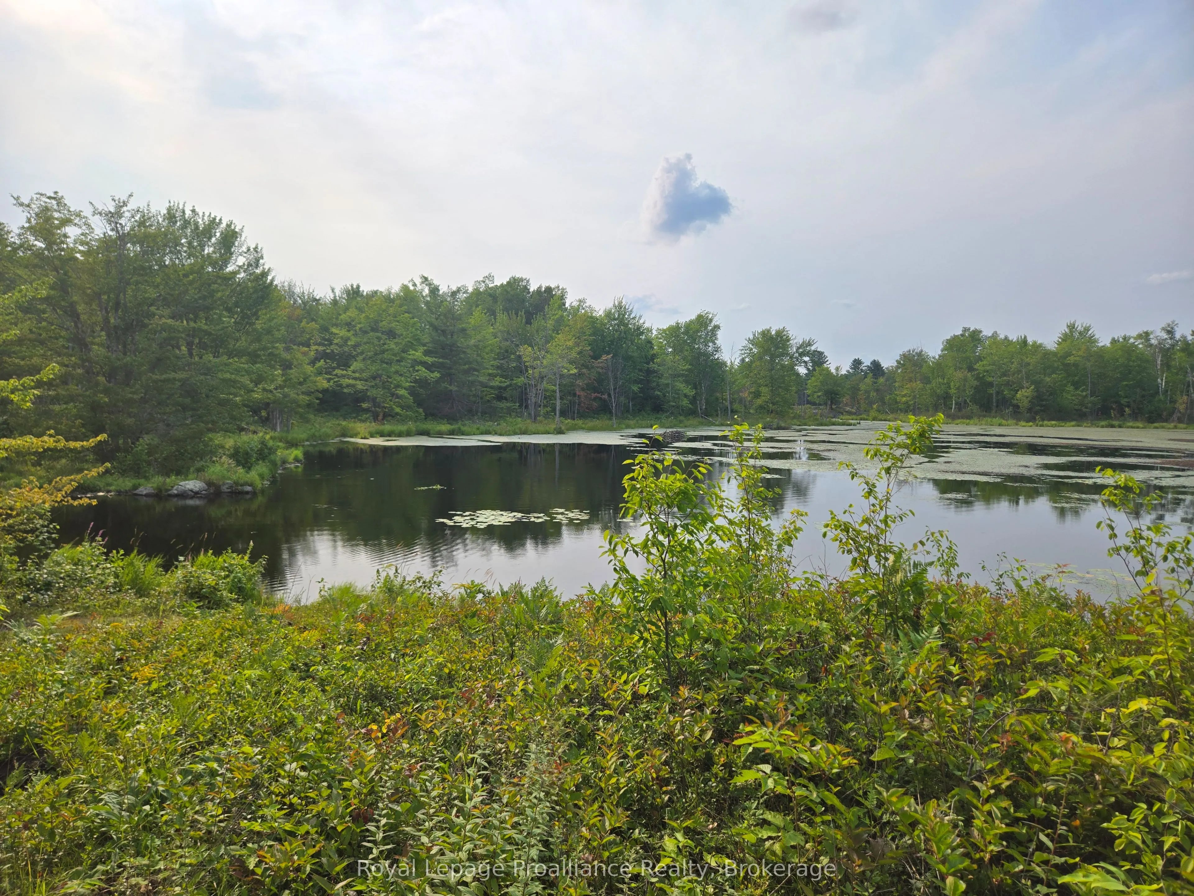 1446 Flinton Road