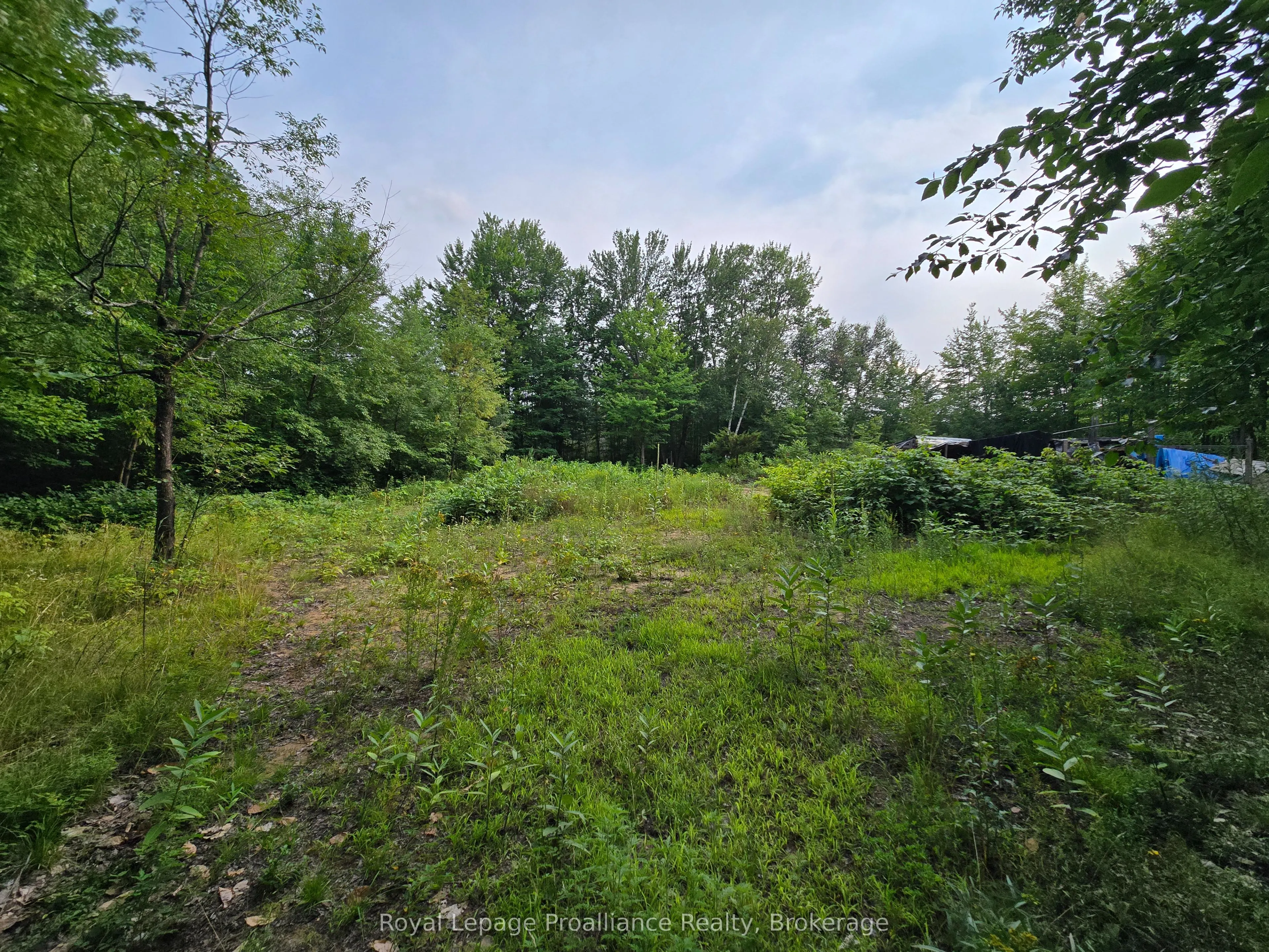 1446 Flinton Road