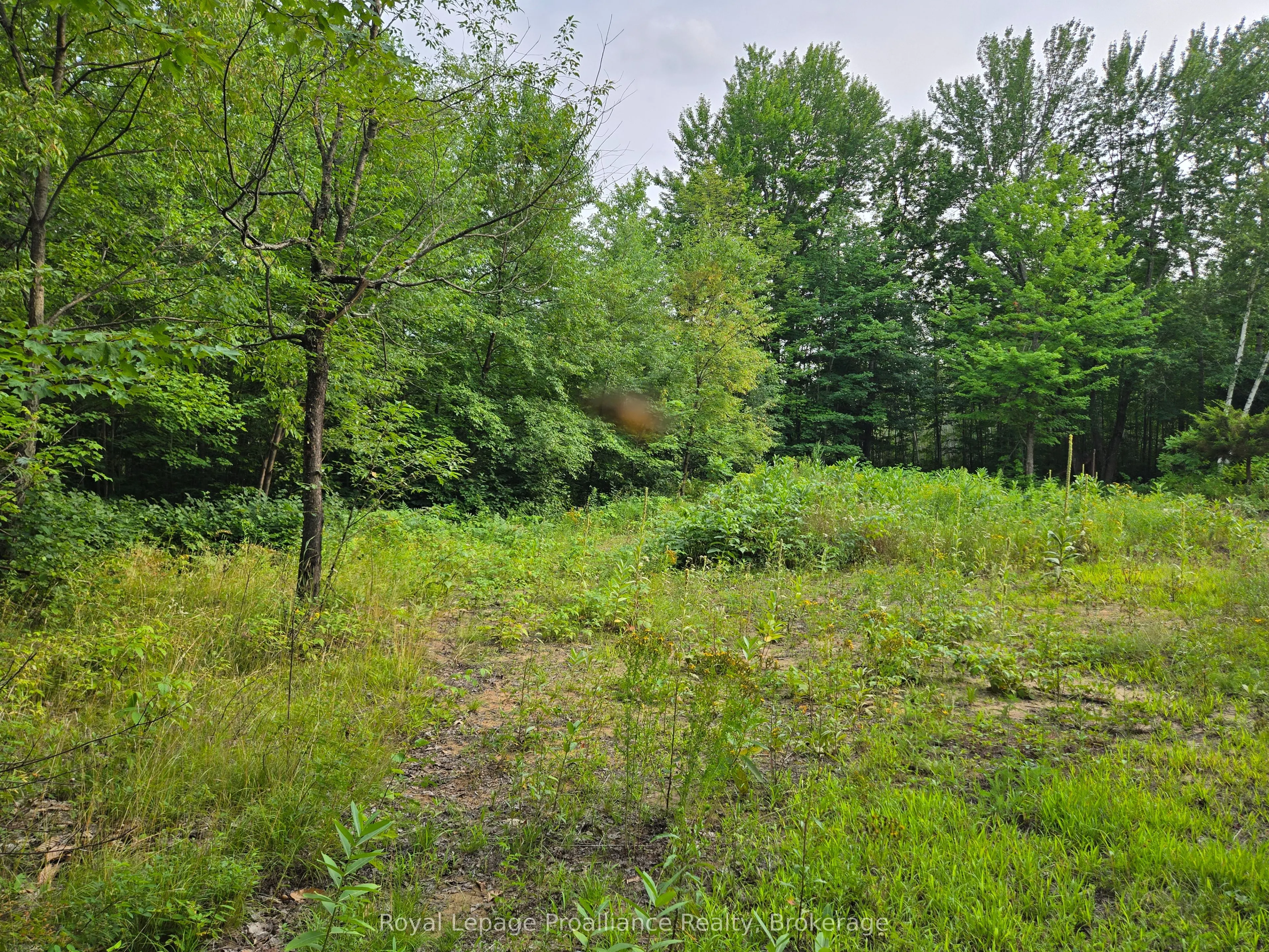 1446 Flinton Road