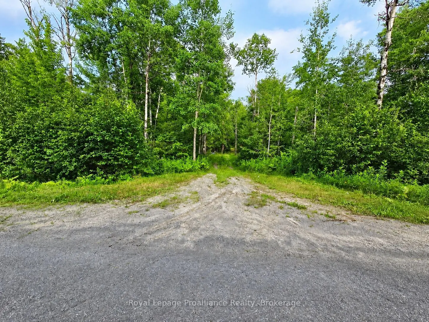 1446 Flinton Road