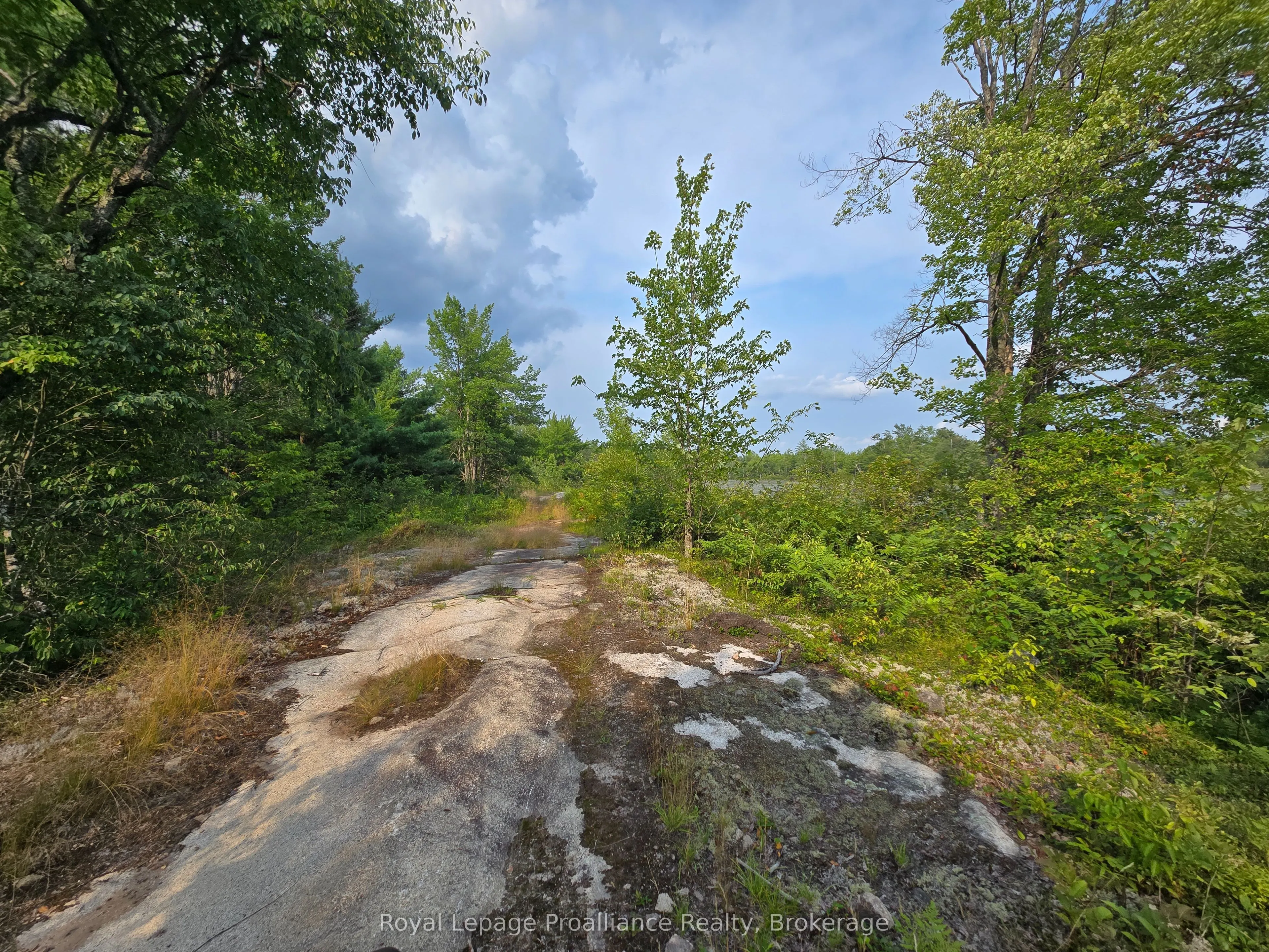 1446 Flinton Road