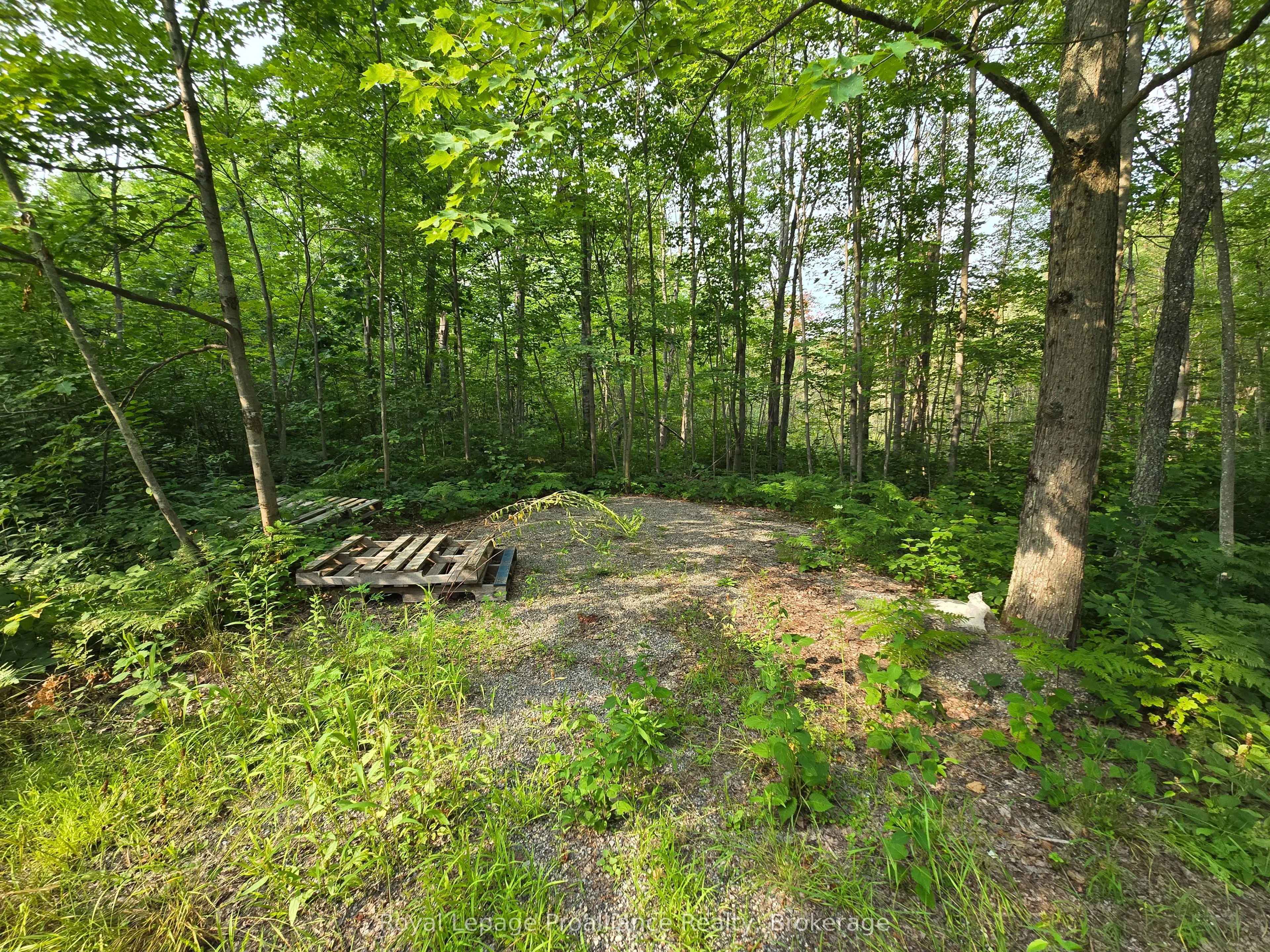 1446 Flinton Road