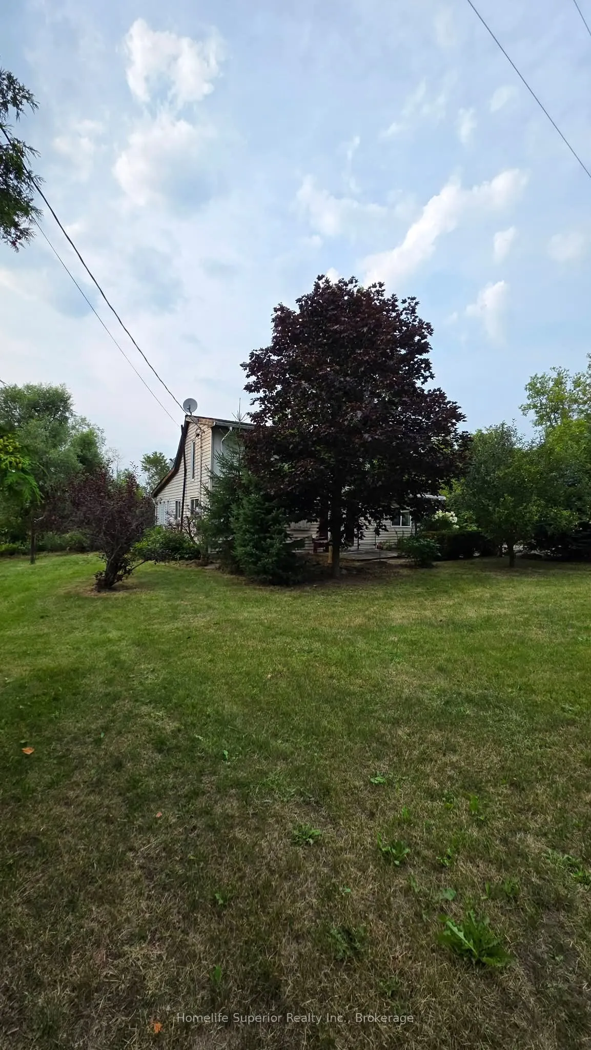 2632 Dummer Asphodel Road