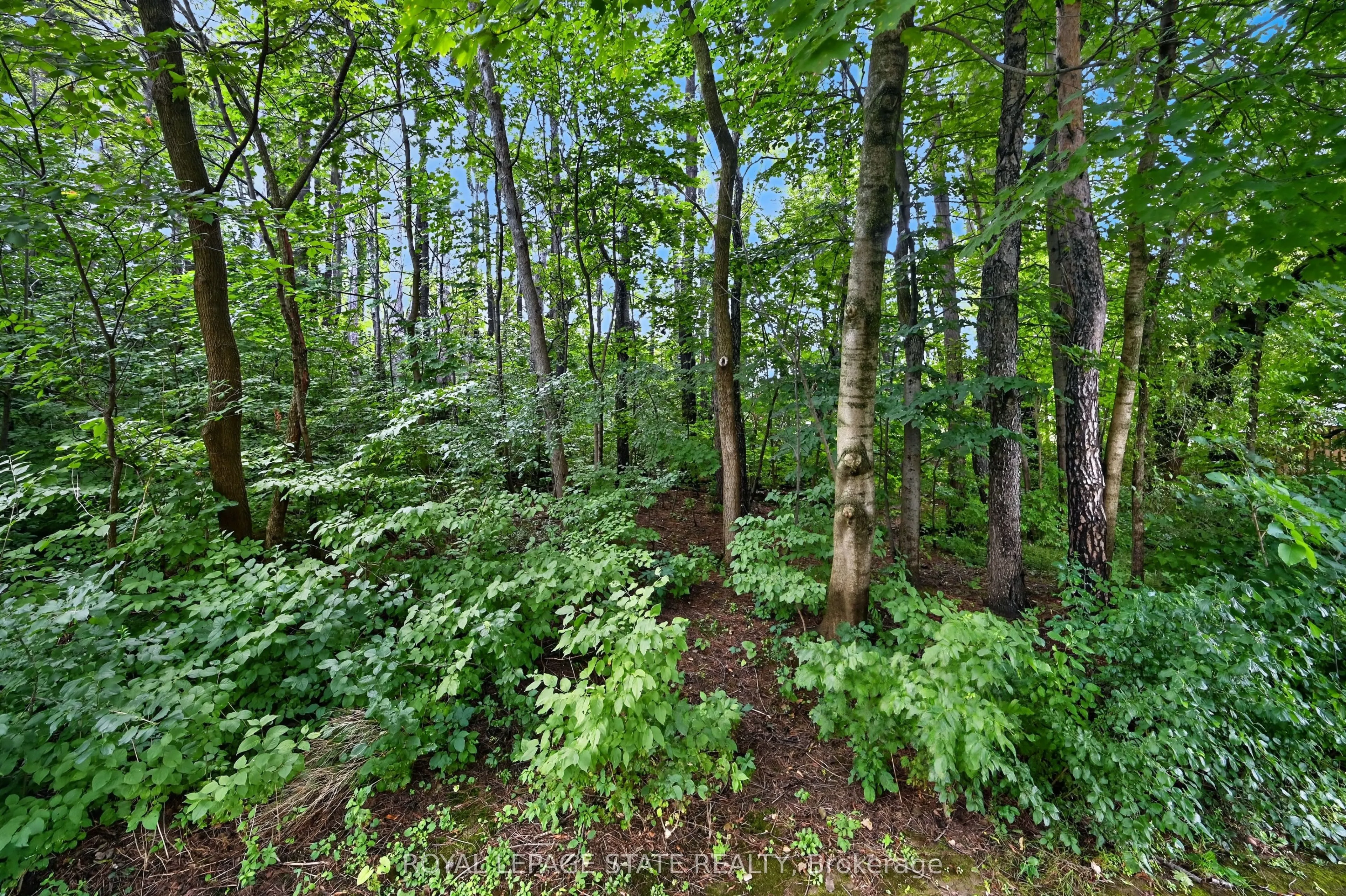 151 Mcniven Road #11