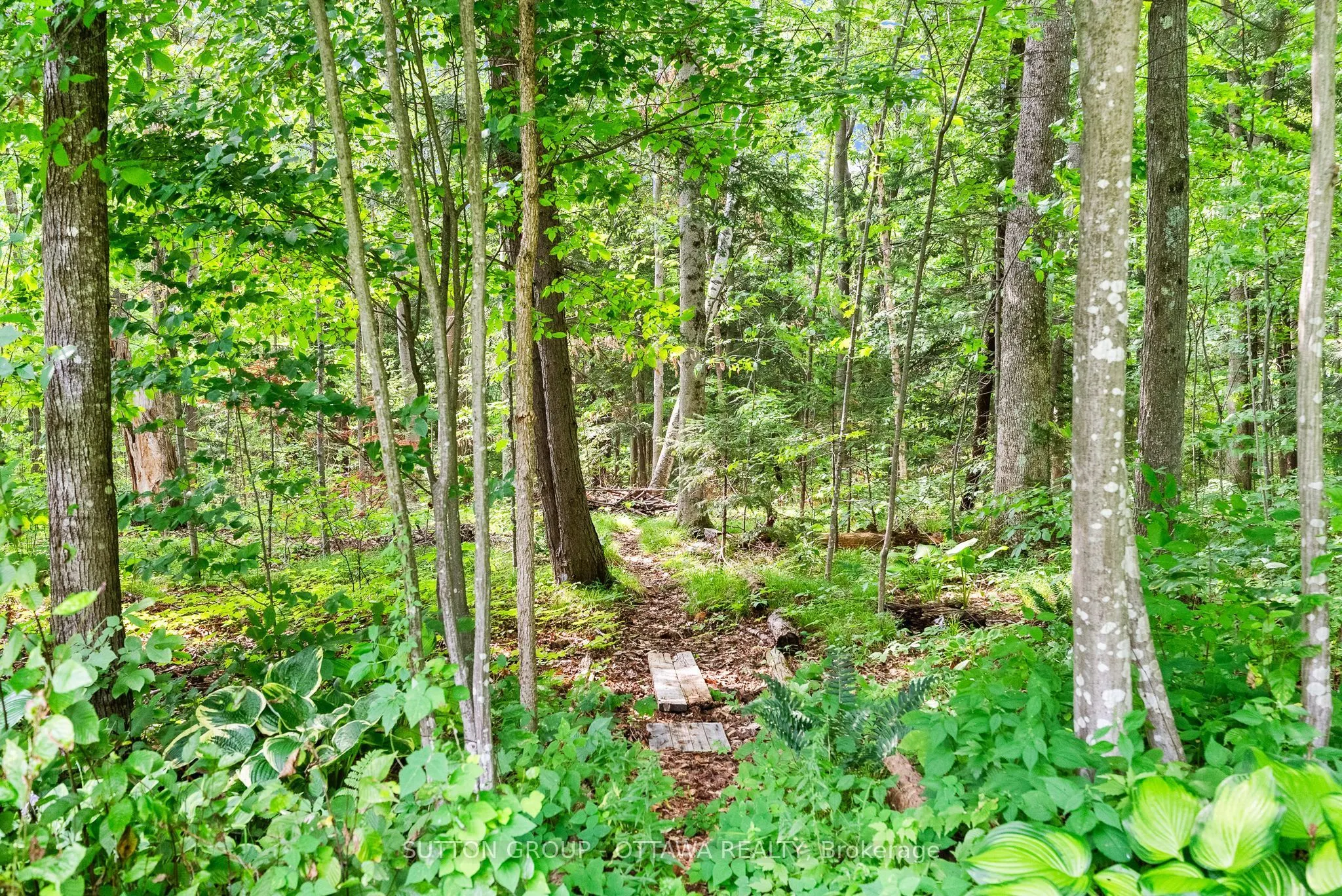 365 Haskins Road