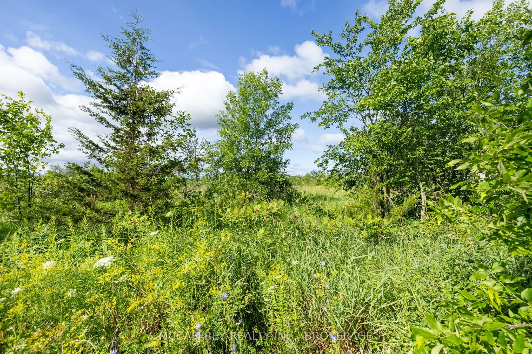 00 County Rd 8