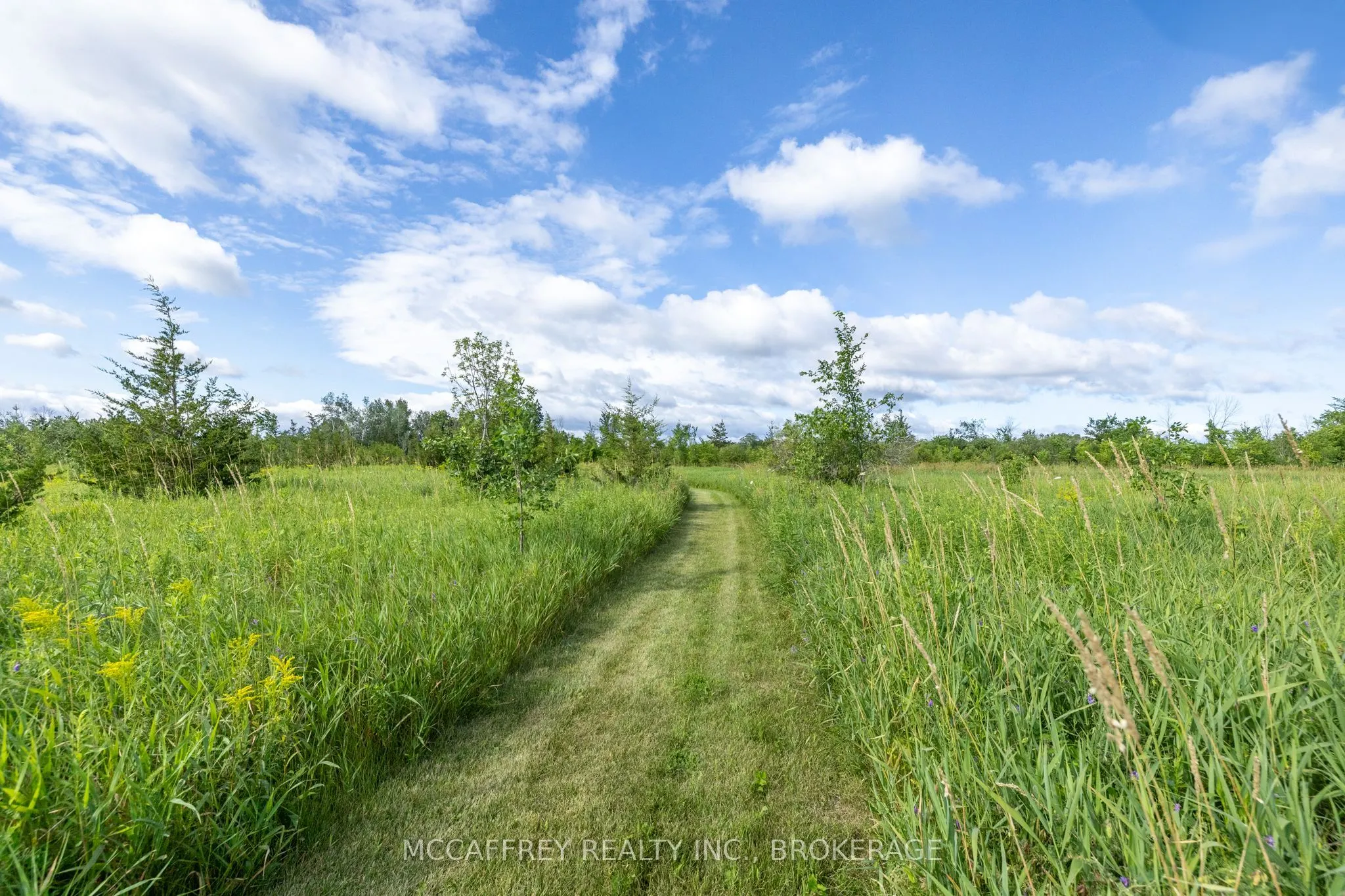 00 County Rd 8