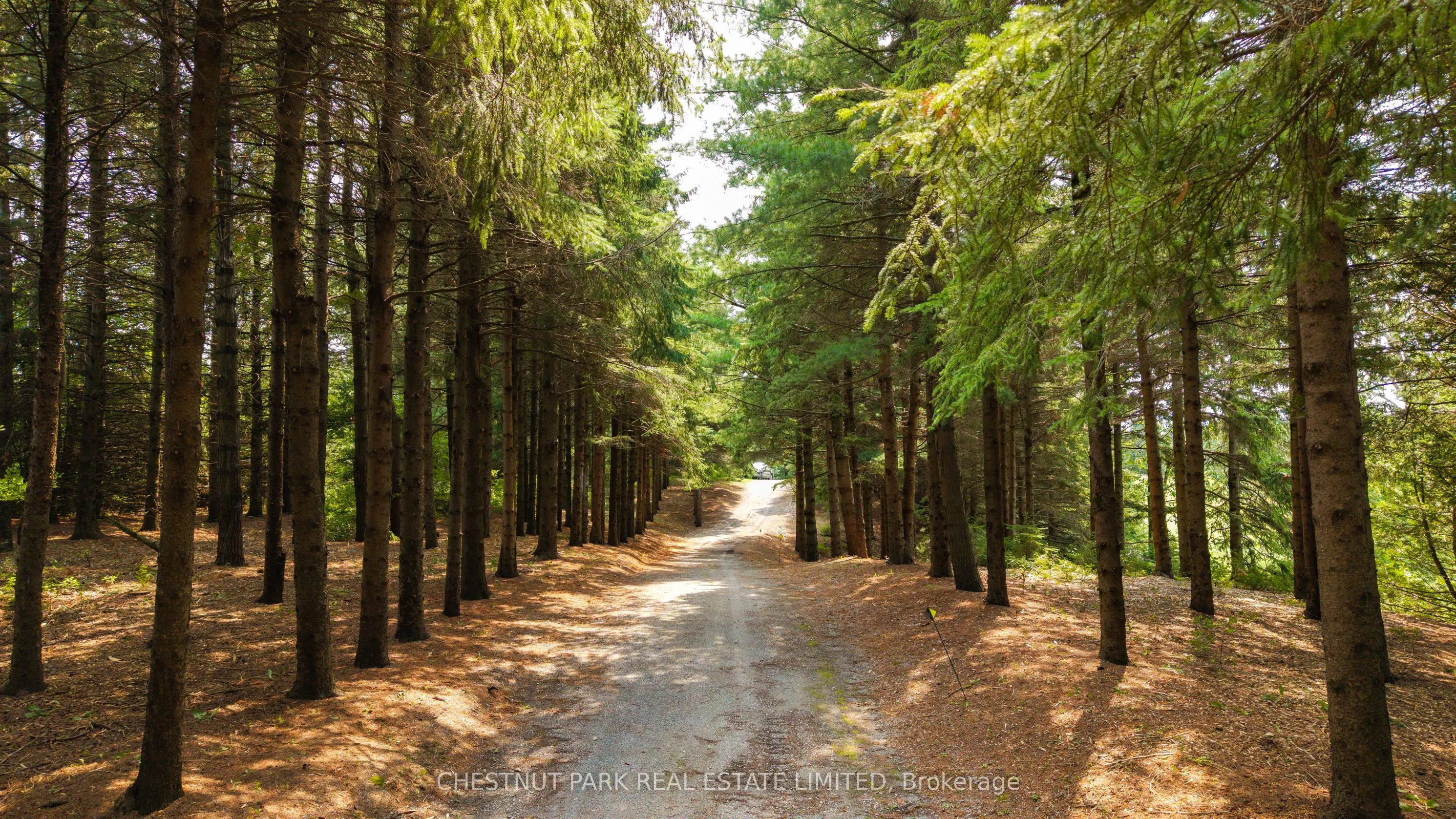286364 10th Side Road