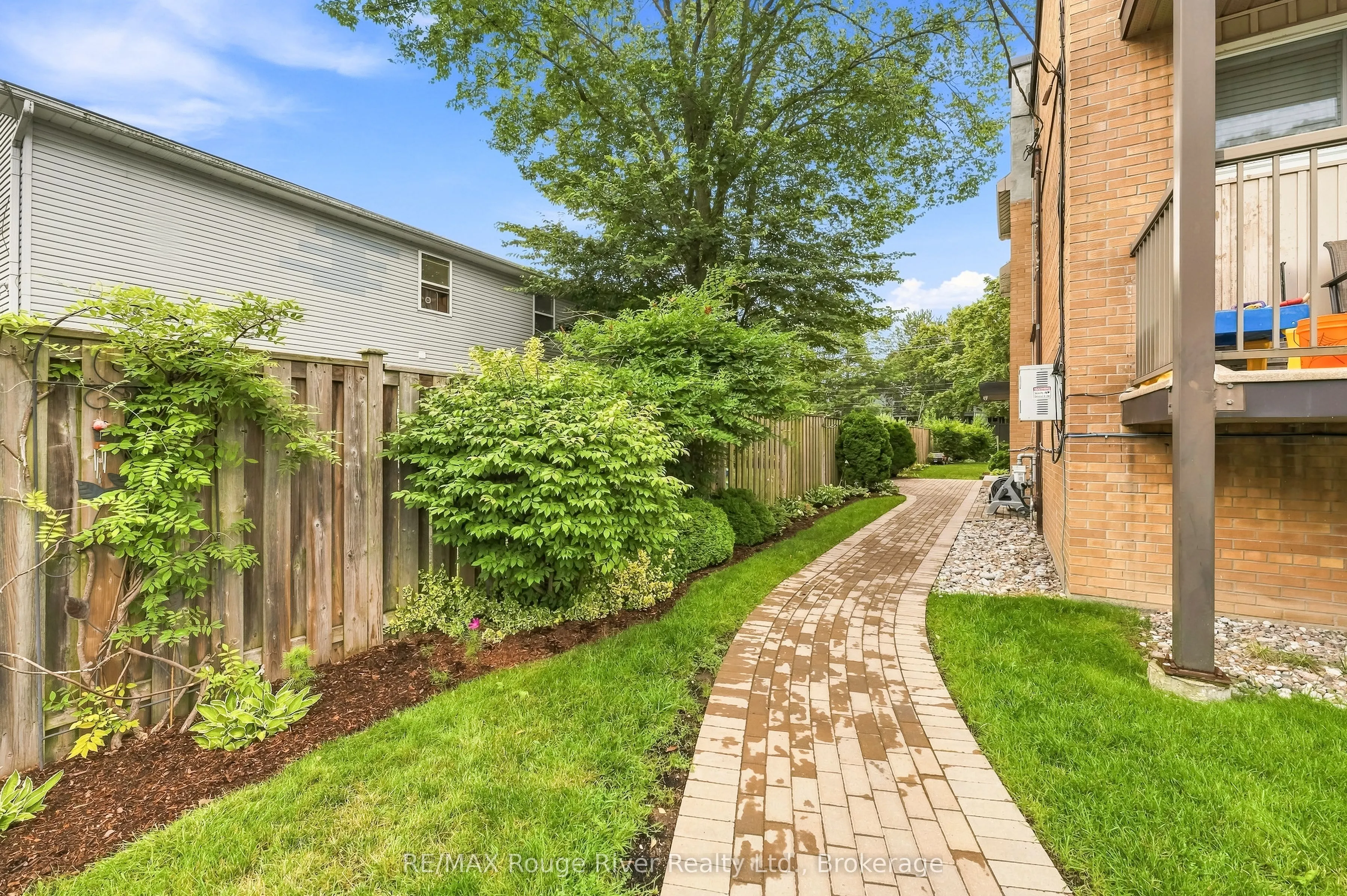 242 D'arcy Street #3