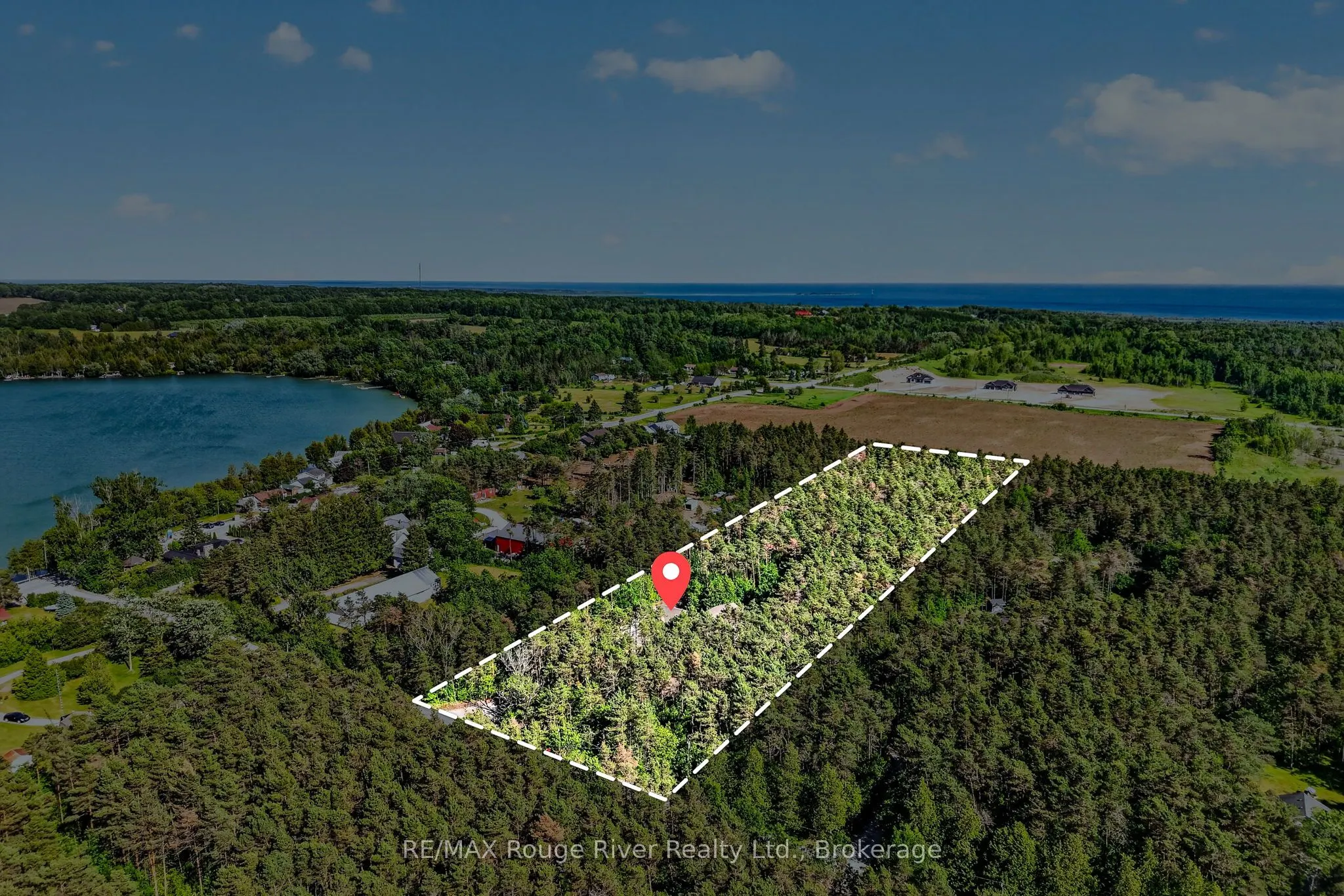 149 Pine Tree Lane