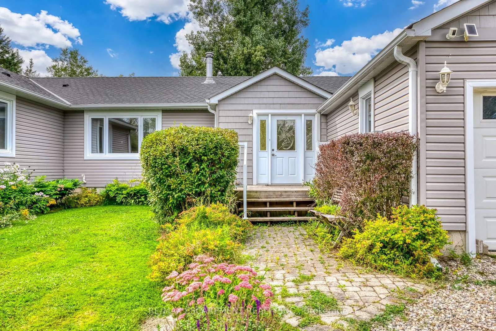 555118 MONO AMARANTH Townline