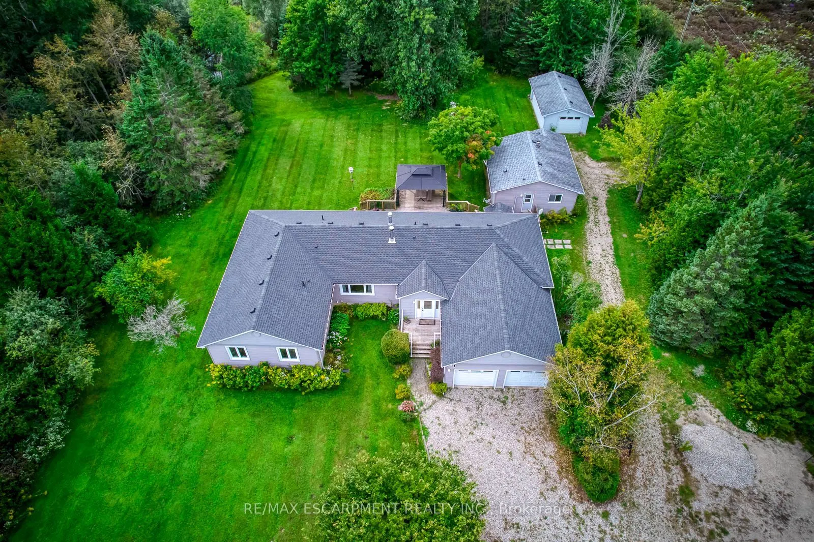 555118 MONO AMARANTH Townline
