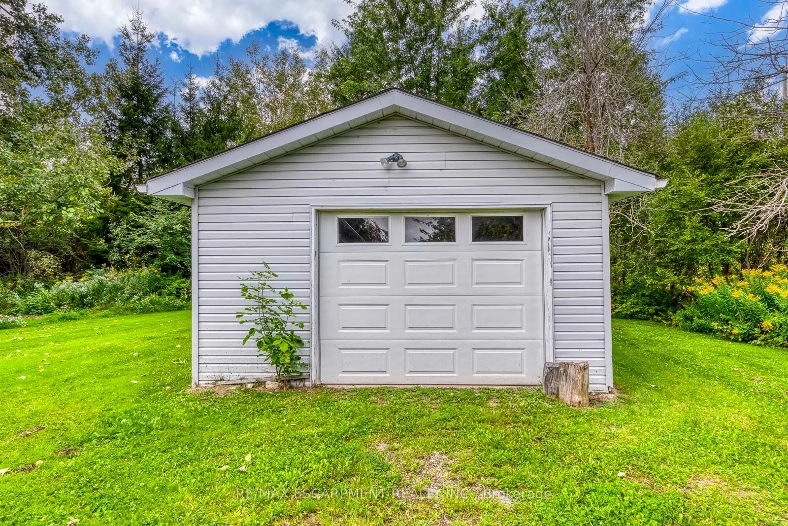 555118 MONO AMARANTH Townline