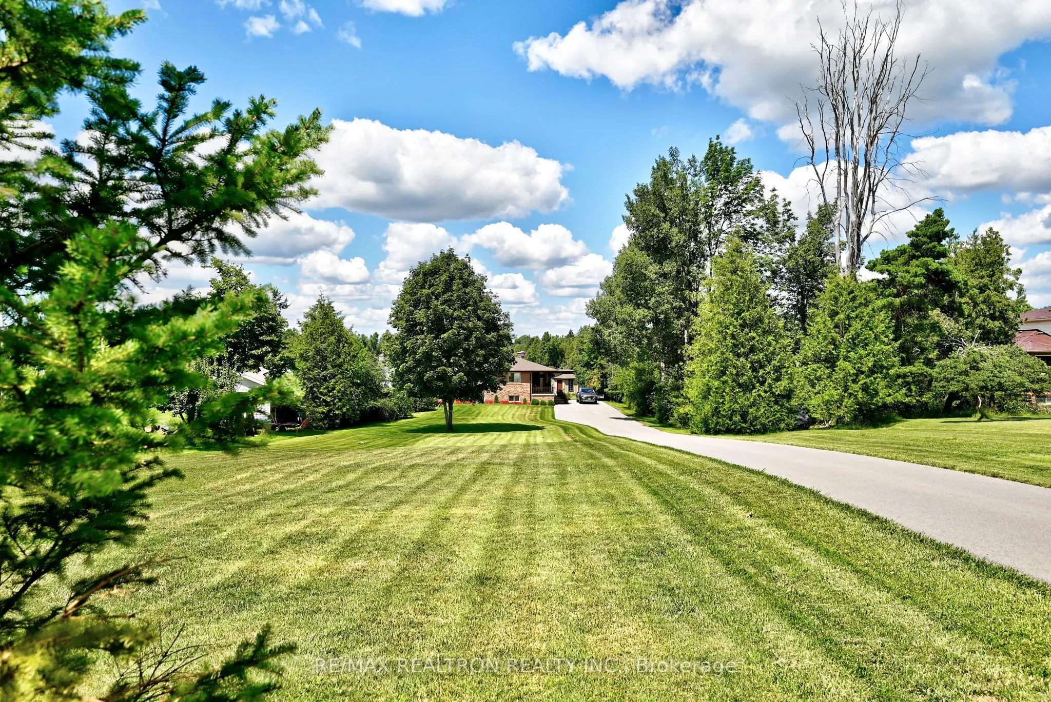 53 Robinson Avenue