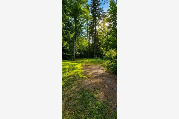 5045 Opeongo Road
