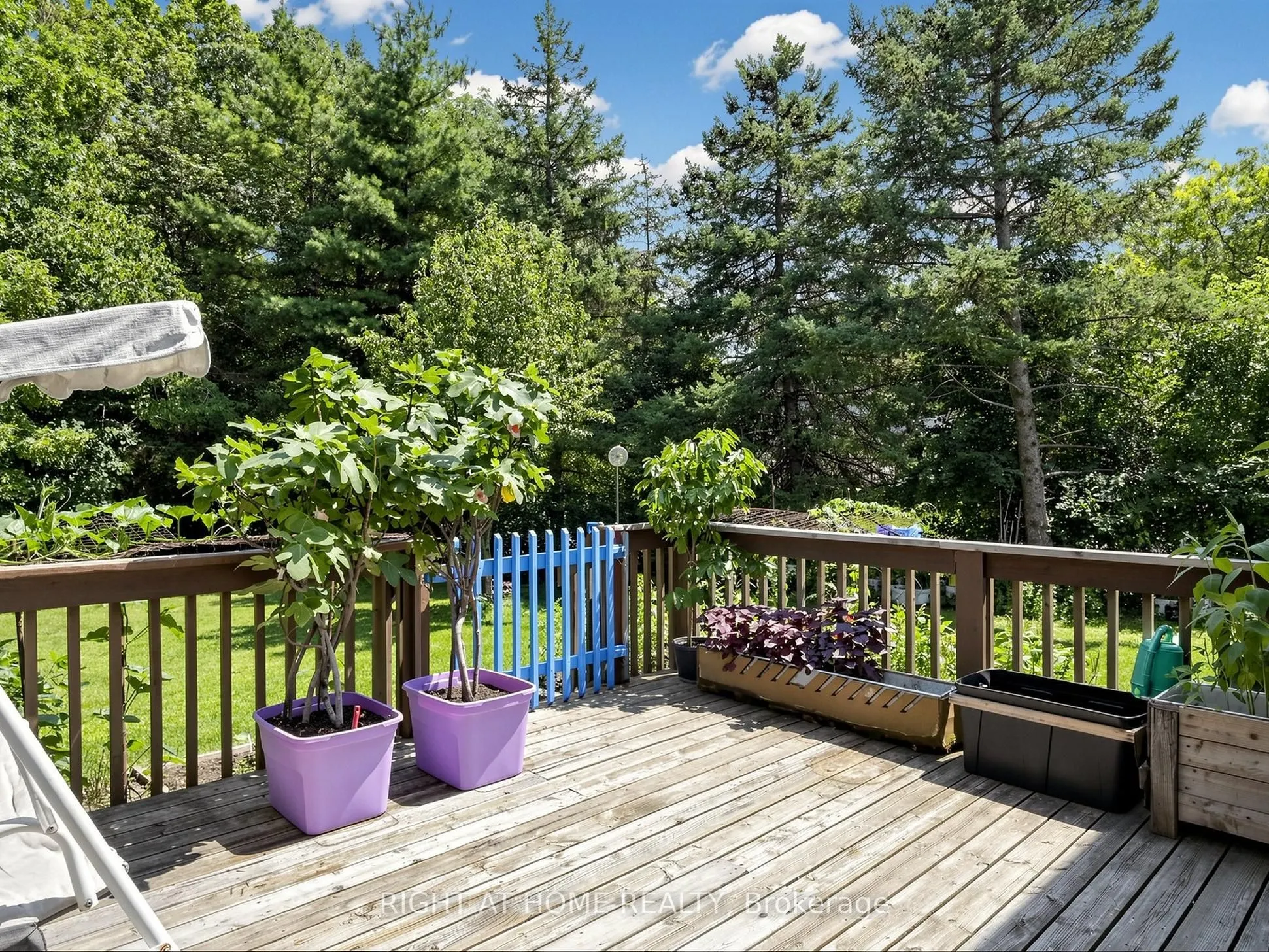 138 Strawberry Drive