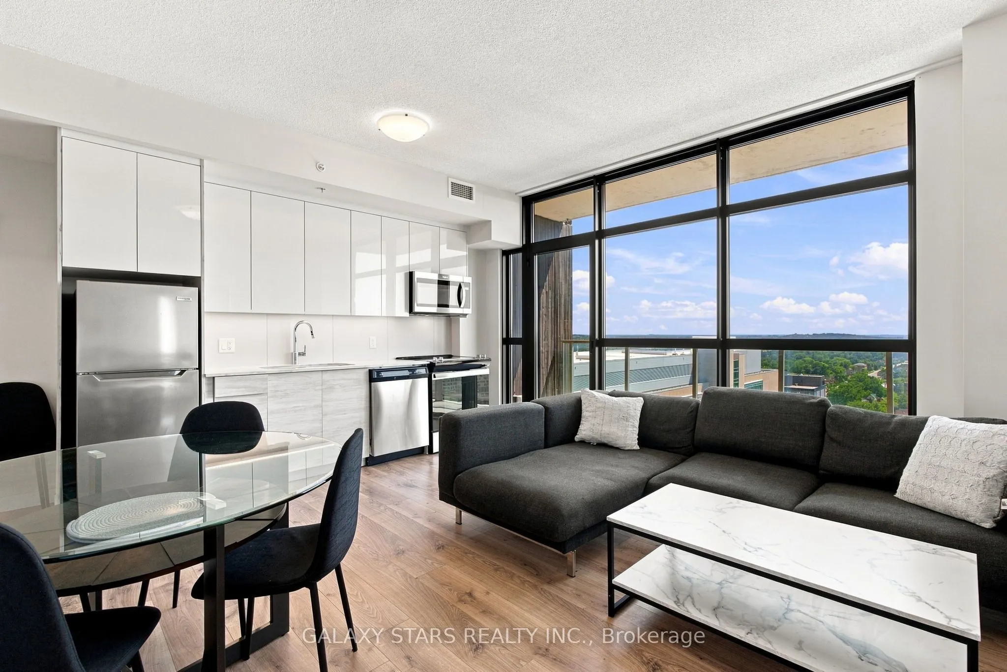 60 Frederick Street #1614