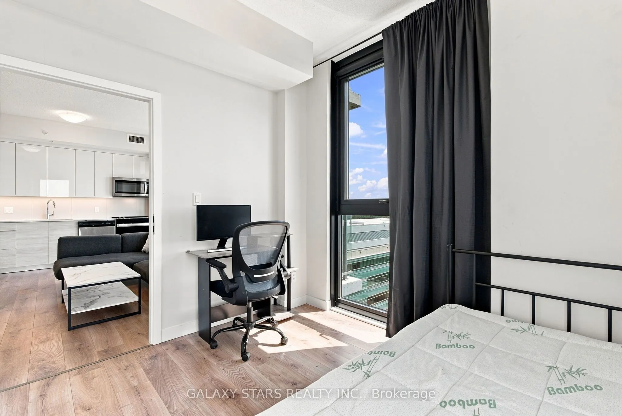 60 Frederick Street #1614