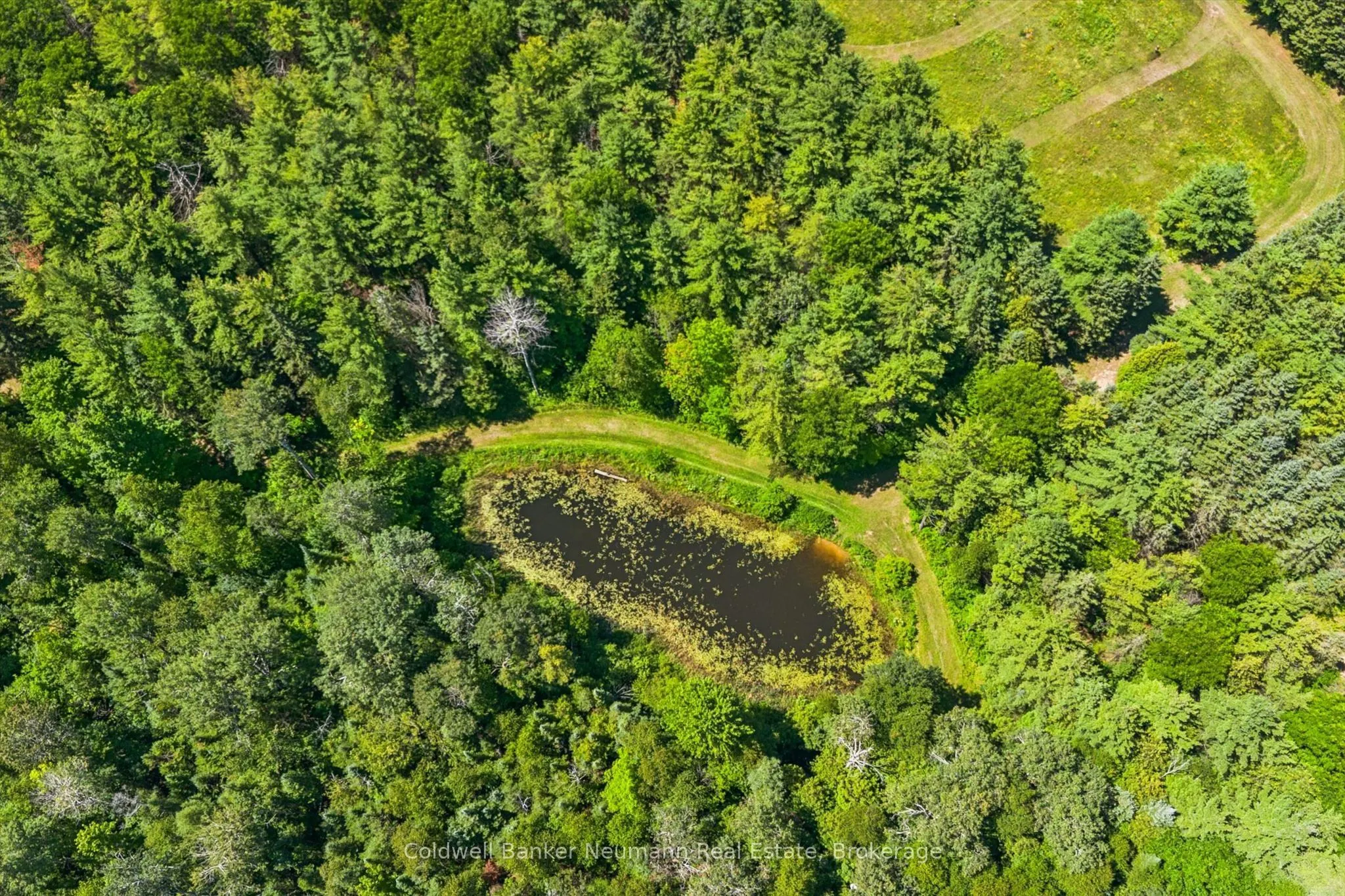 4676 Concession 11 Road