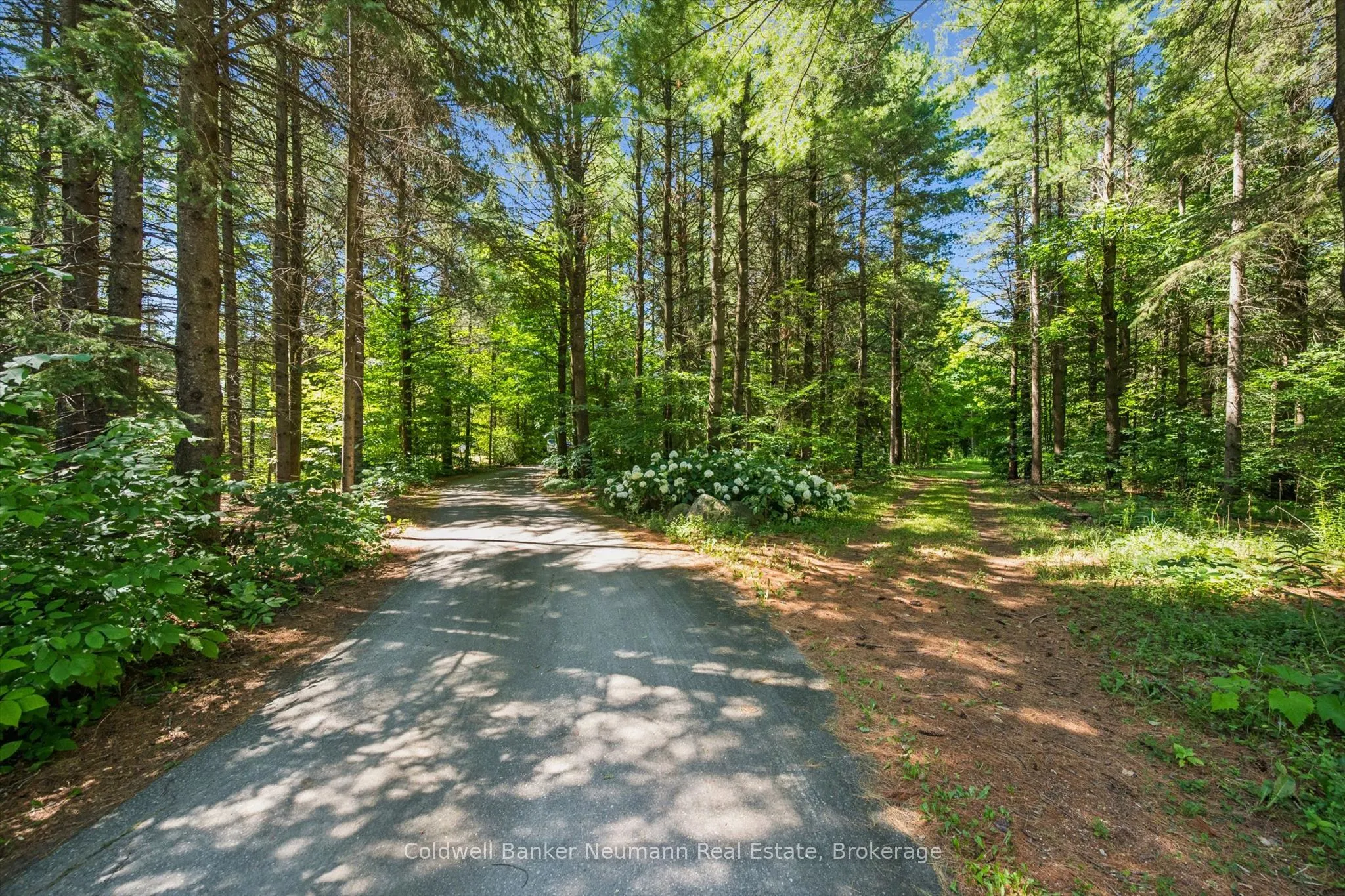 4676 Concession 11 Road