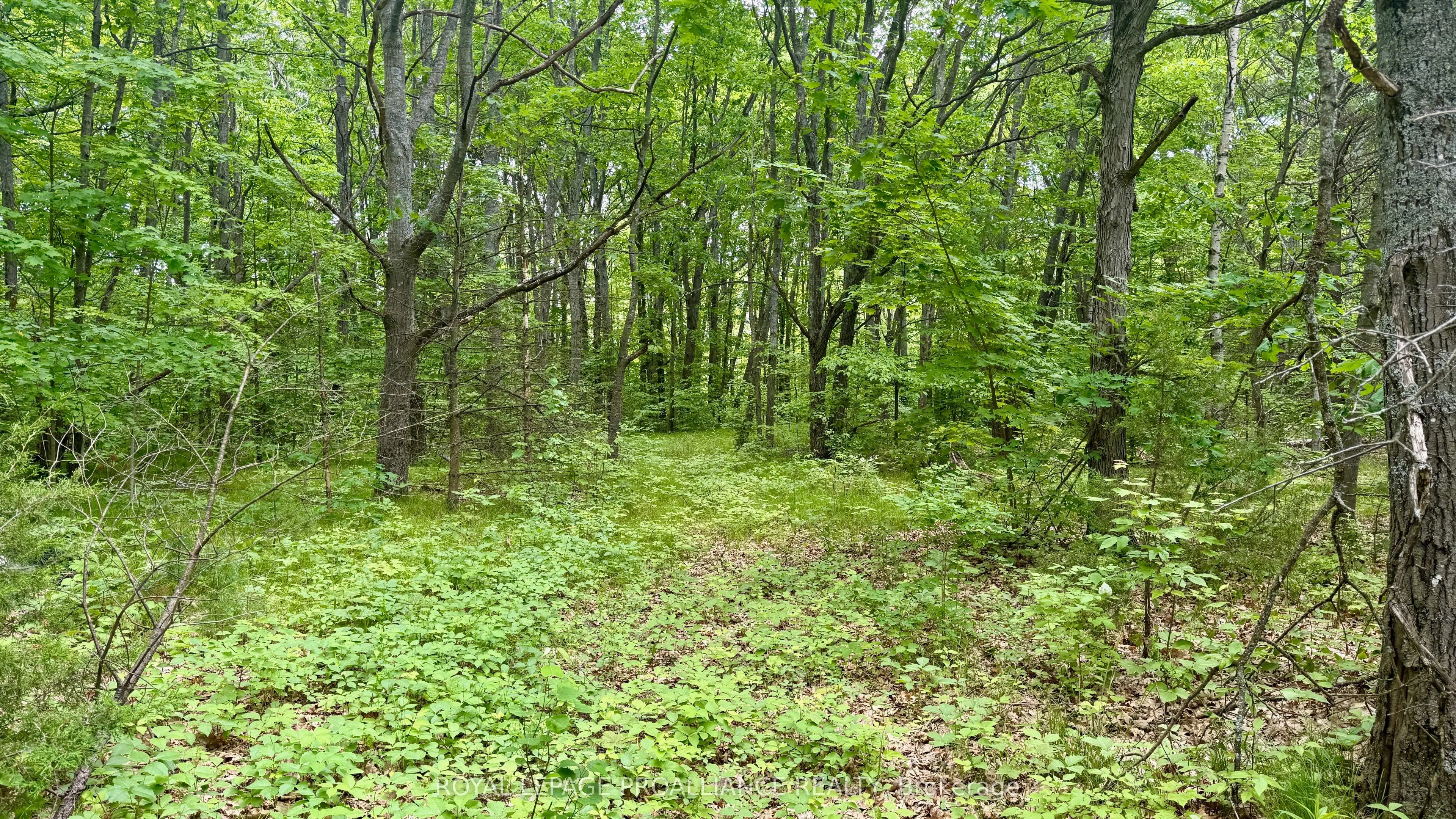 207 Middle Ridge Road