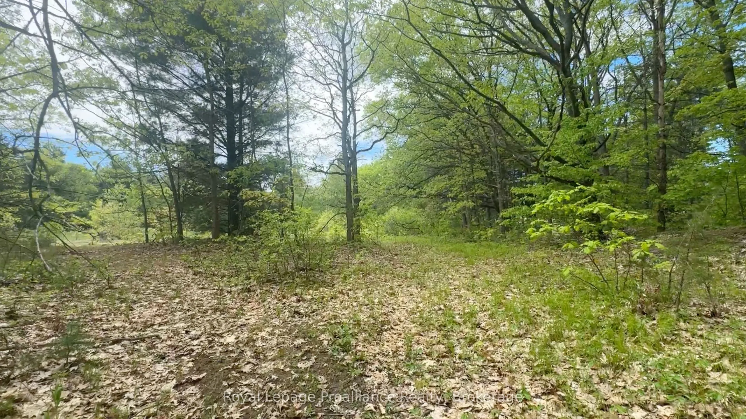207 Middle Ridge Road