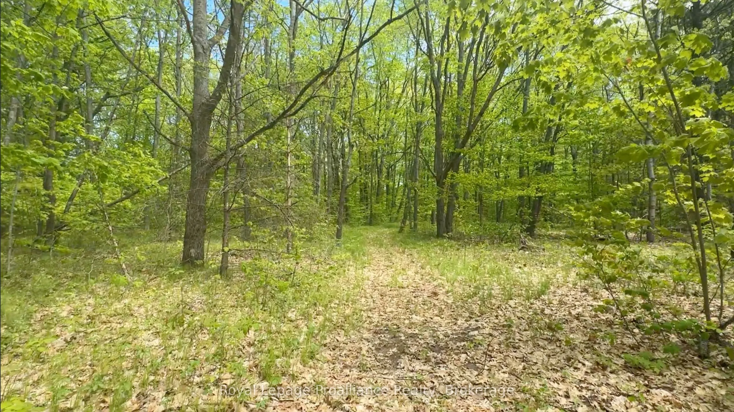 207 Middle Ridge Road
