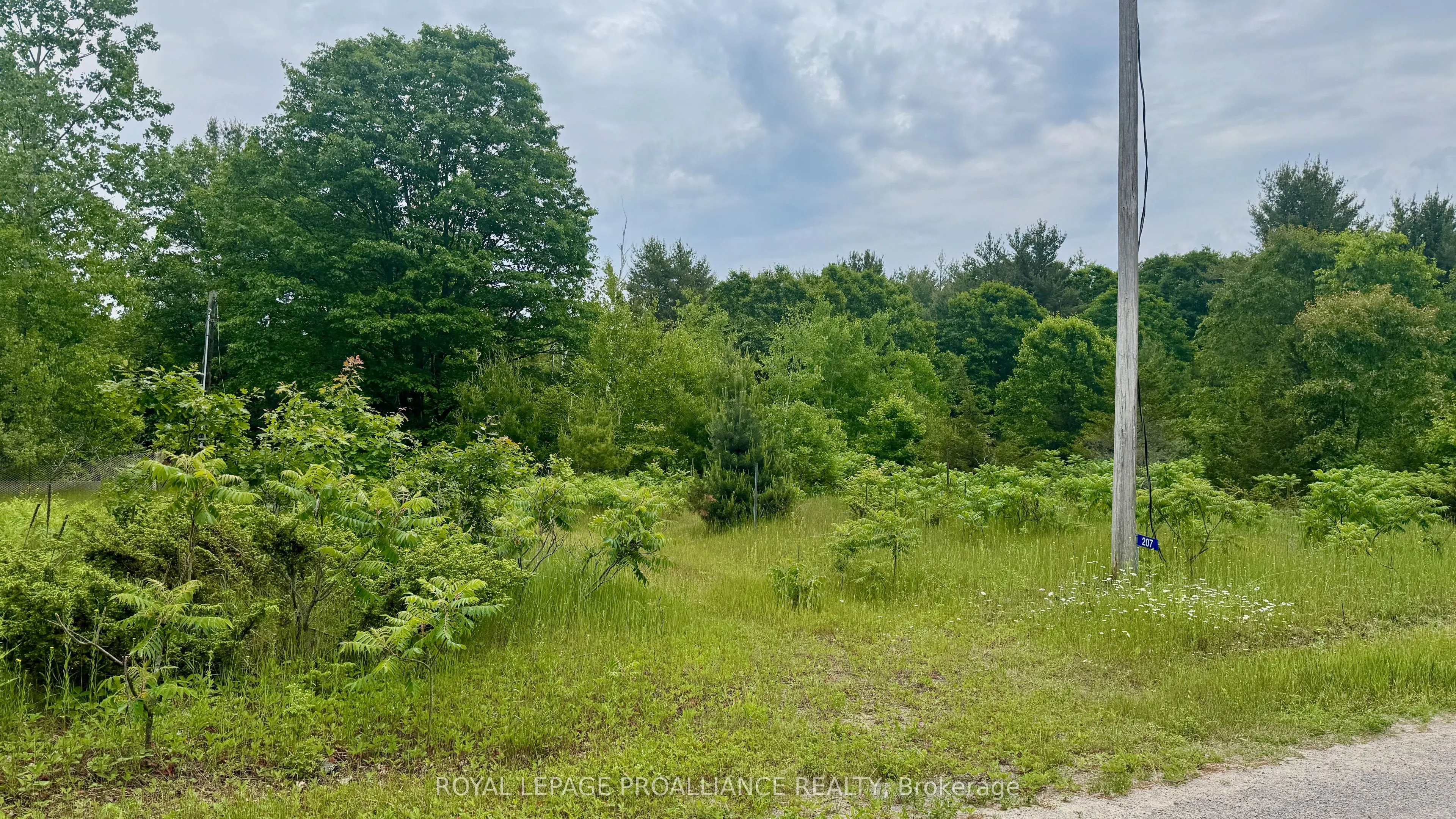 207 Middle Ridge Road