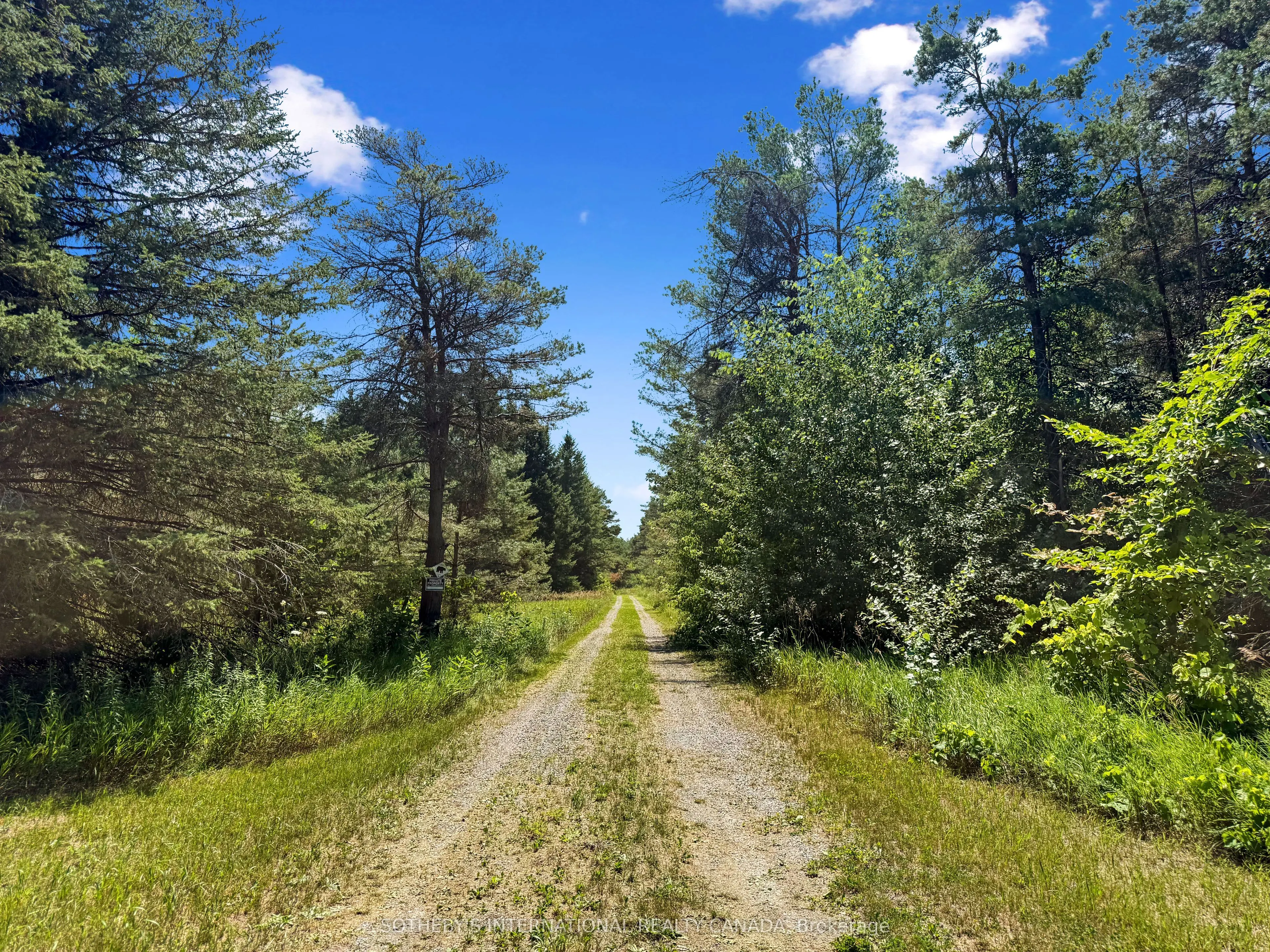 499 Concession Rd 4 East Road