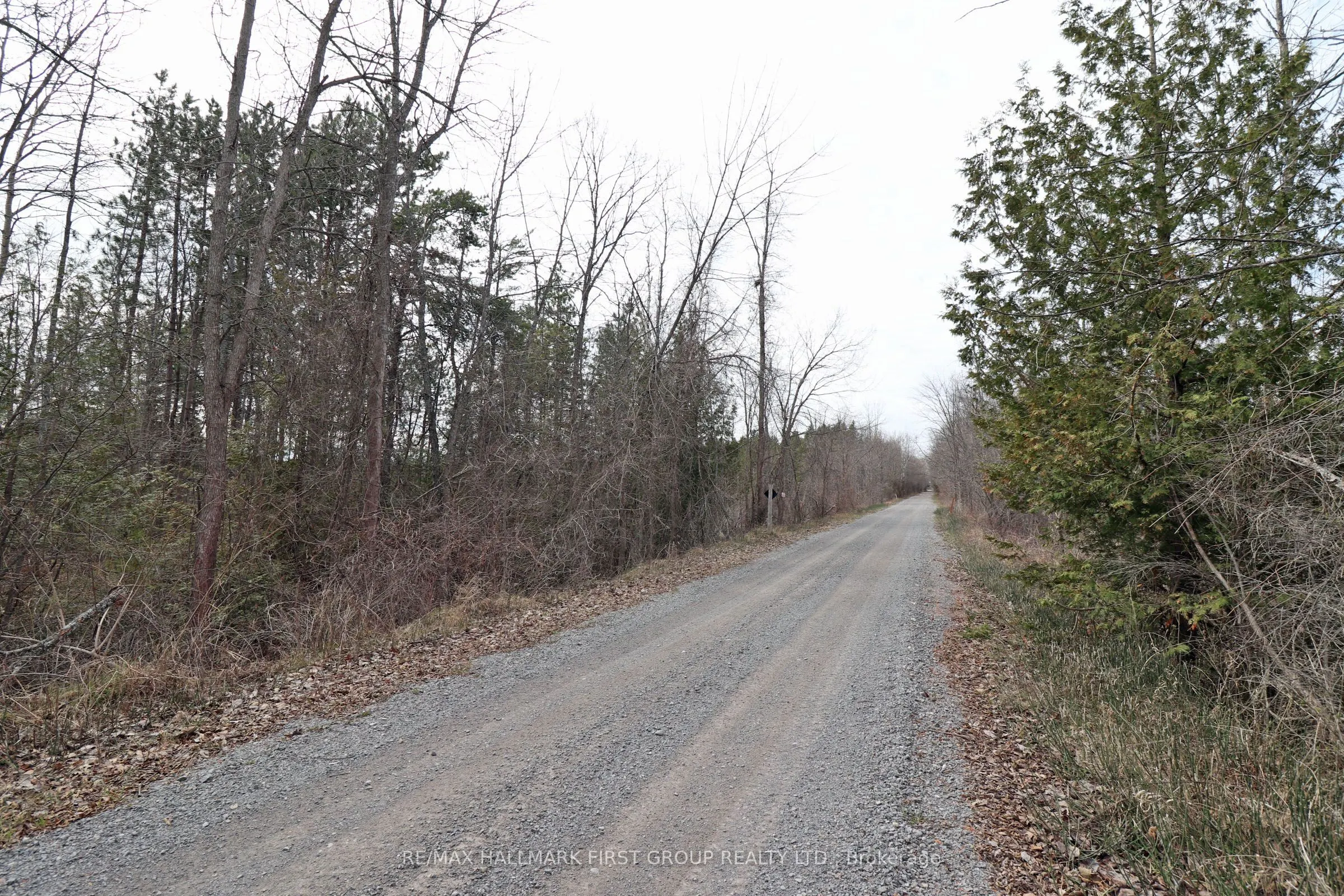 8 St. Marks Road
