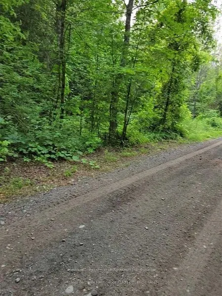 8 St. Marks Road