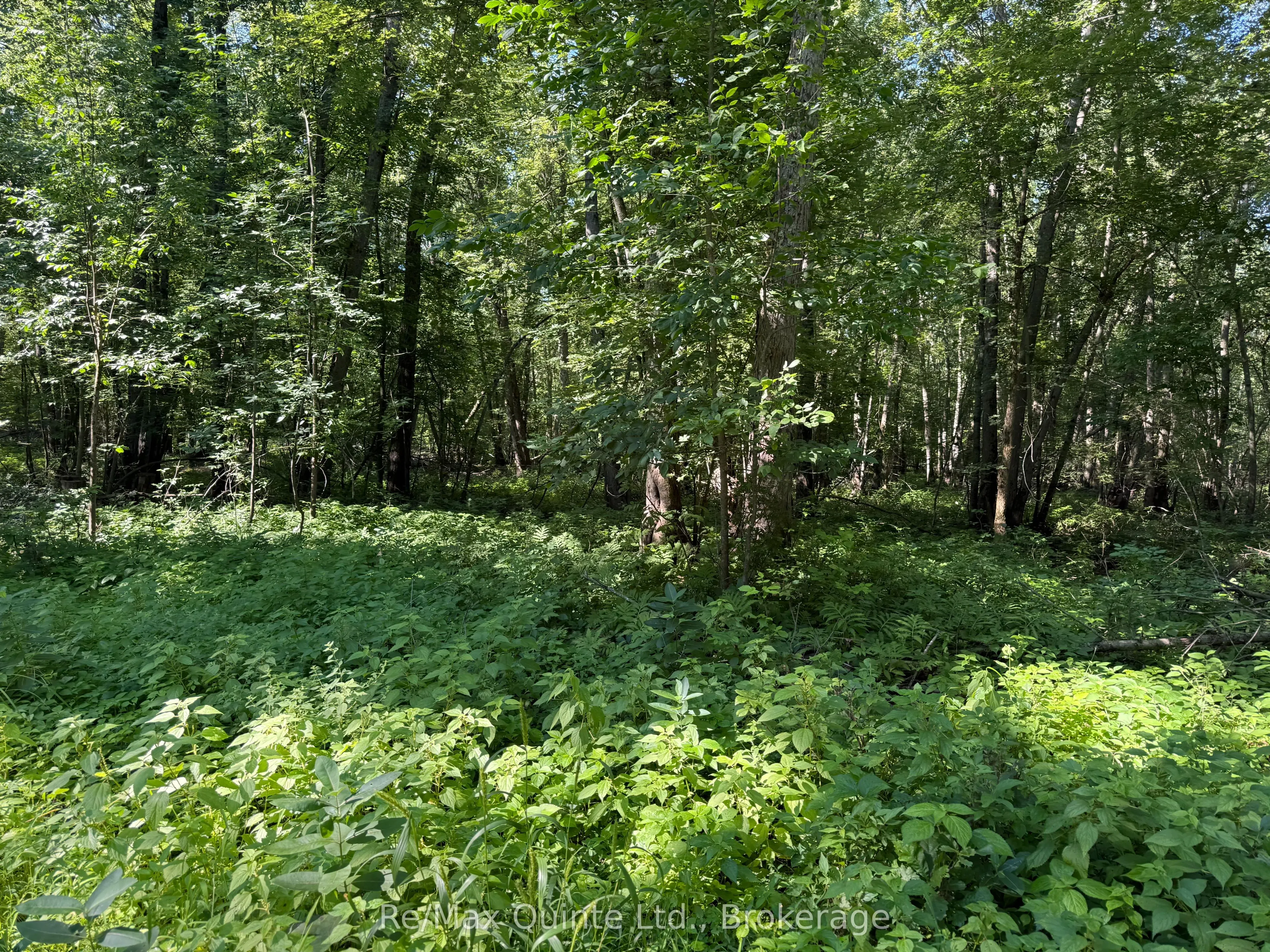 0 Trillium Lane