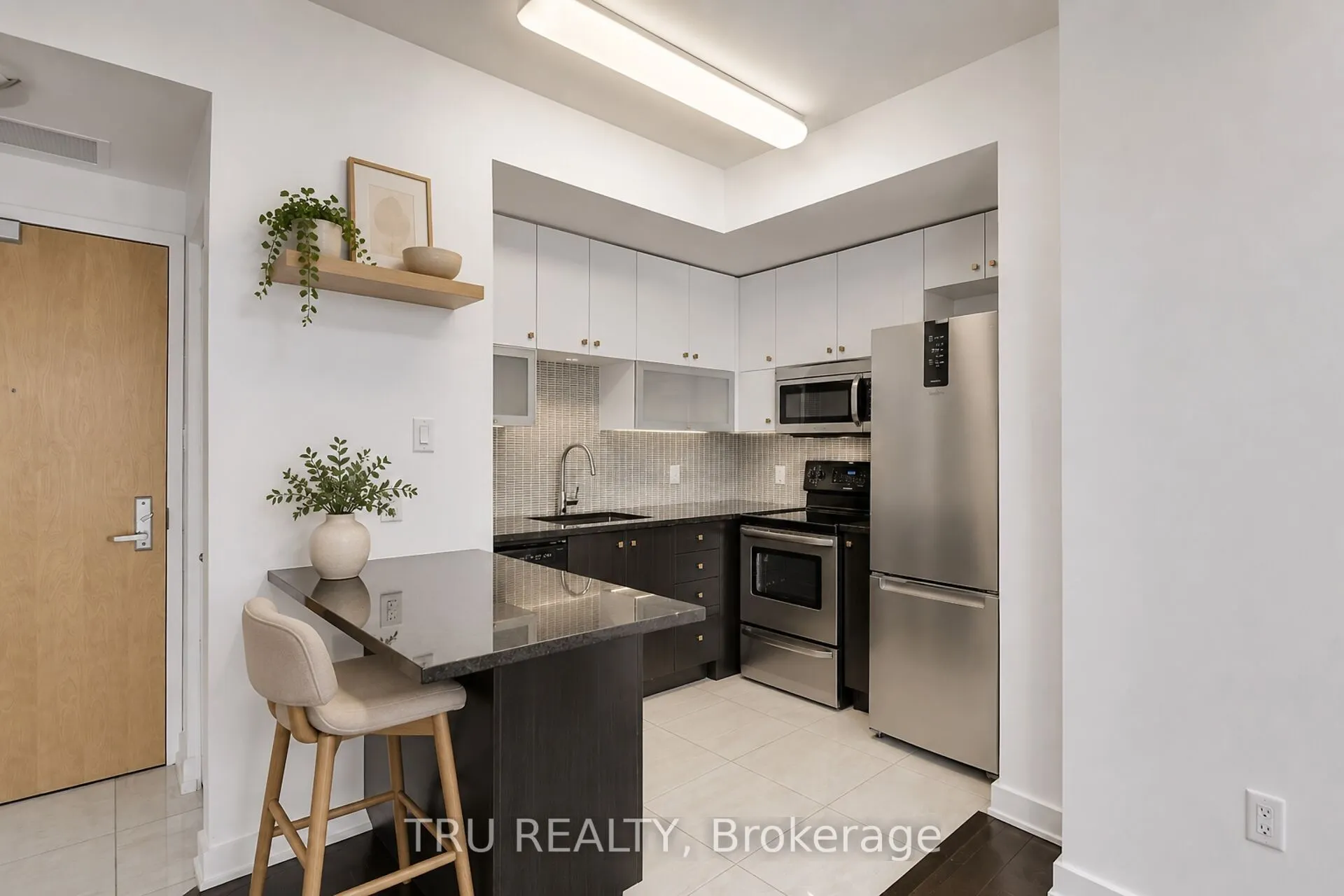 179 Metcalfe Street #1110