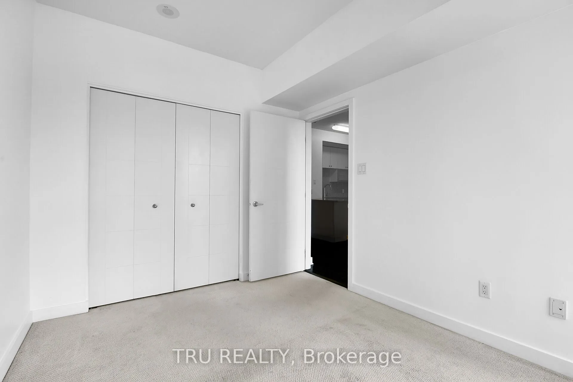 179 Metcalfe Street #1110