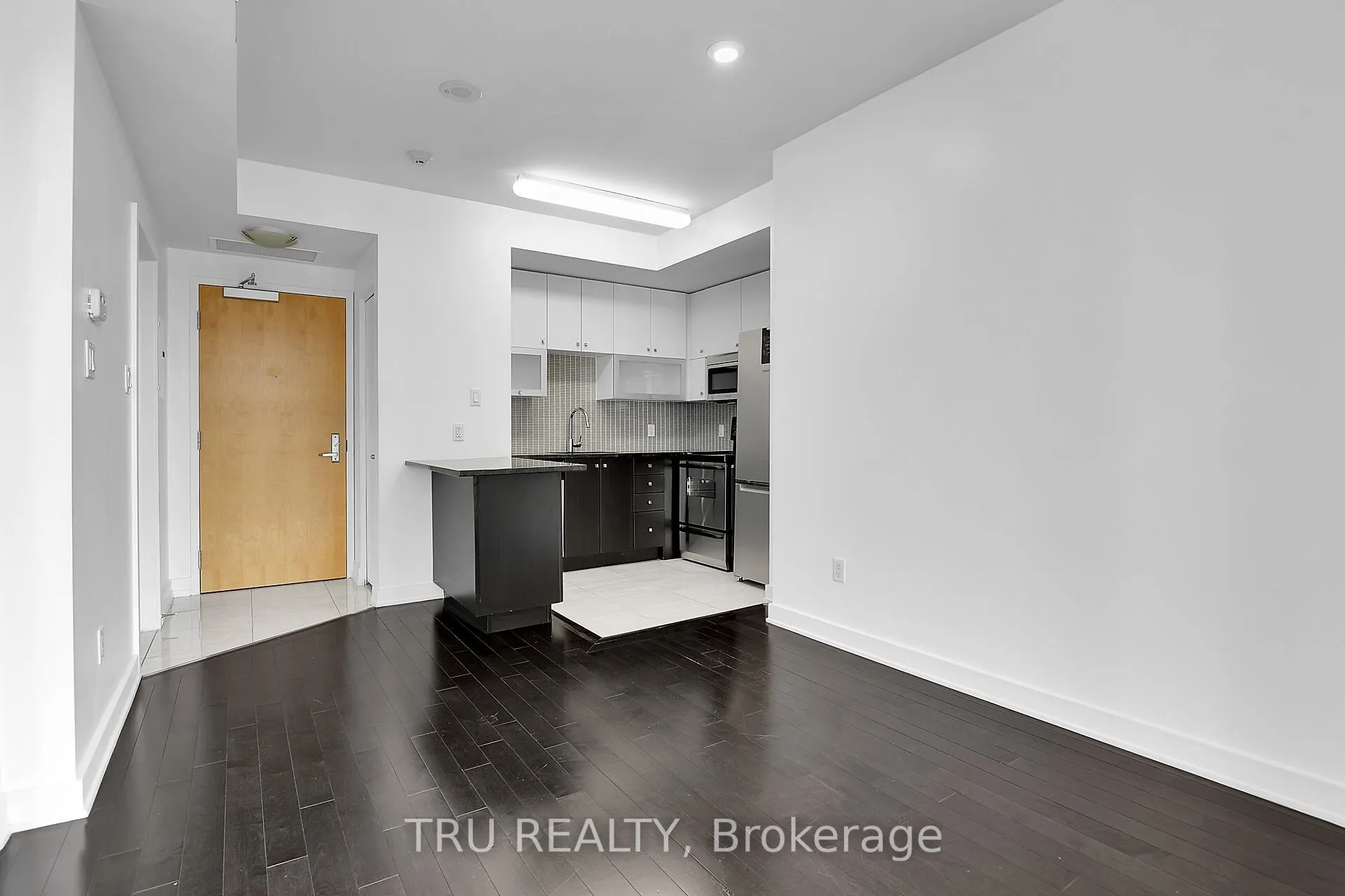 179 Metcalfe Street #1110