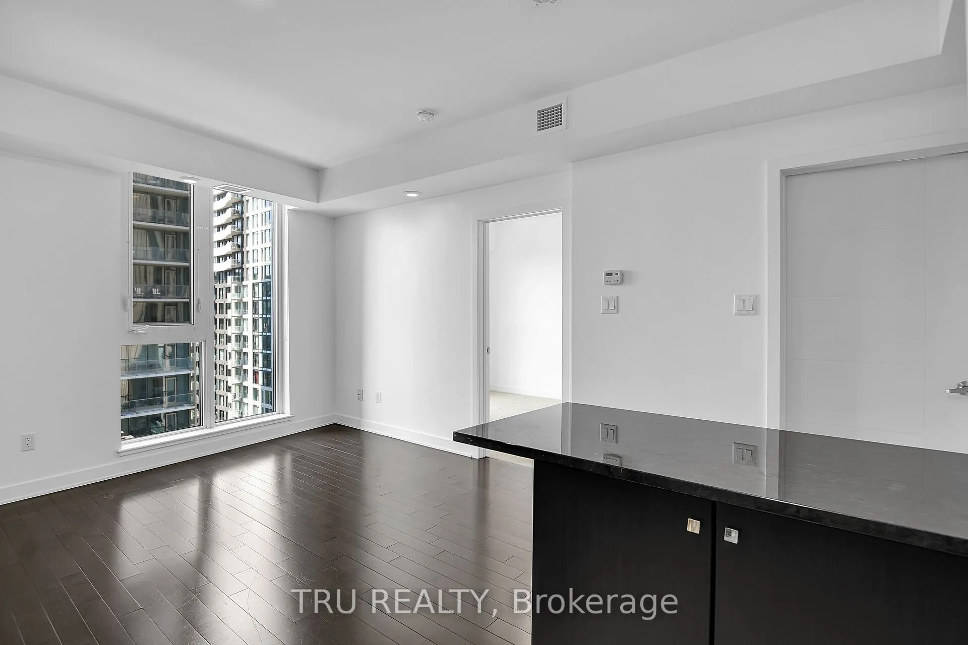 179 Metcalfe Street #1110