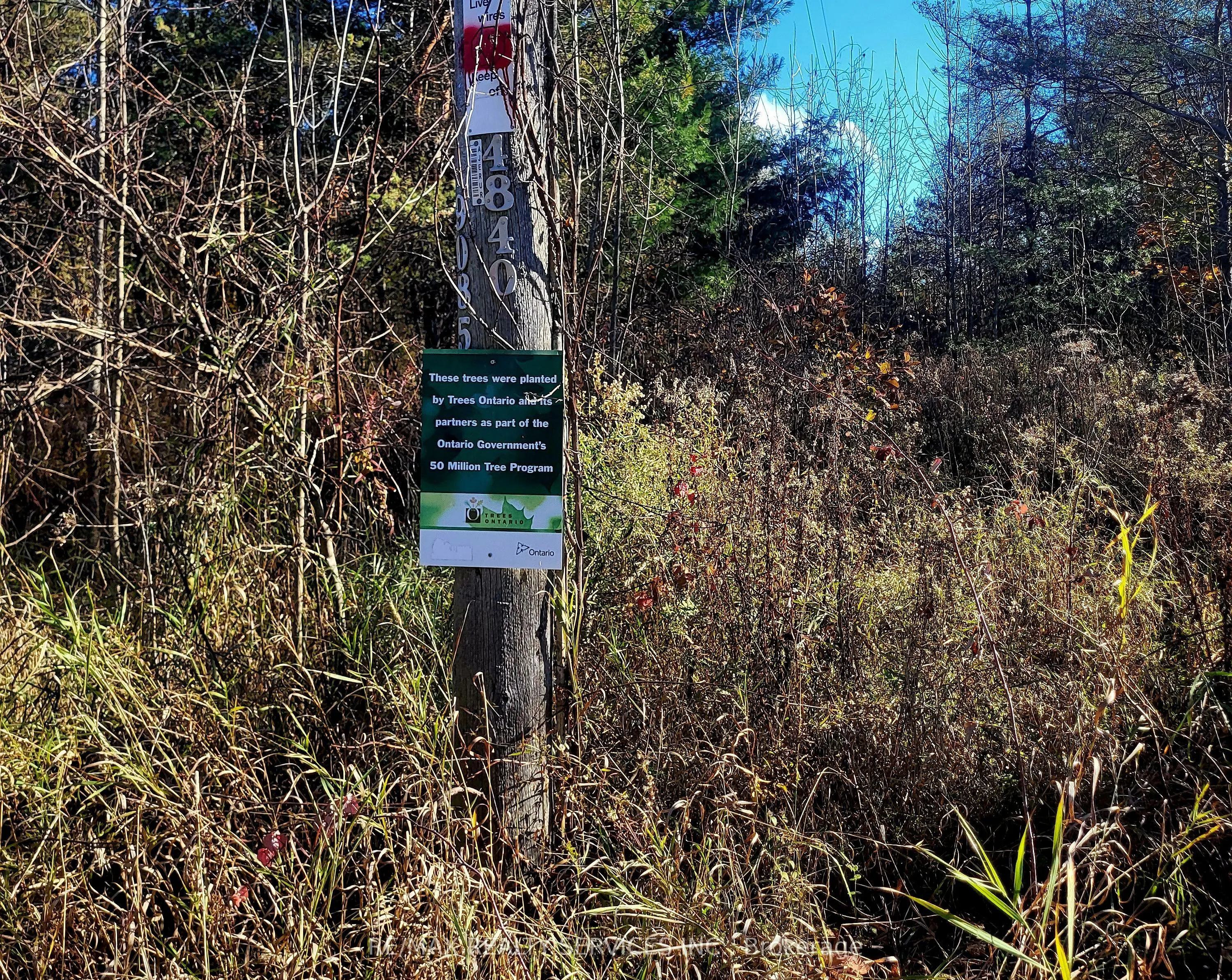 395421 Concession 2 Road