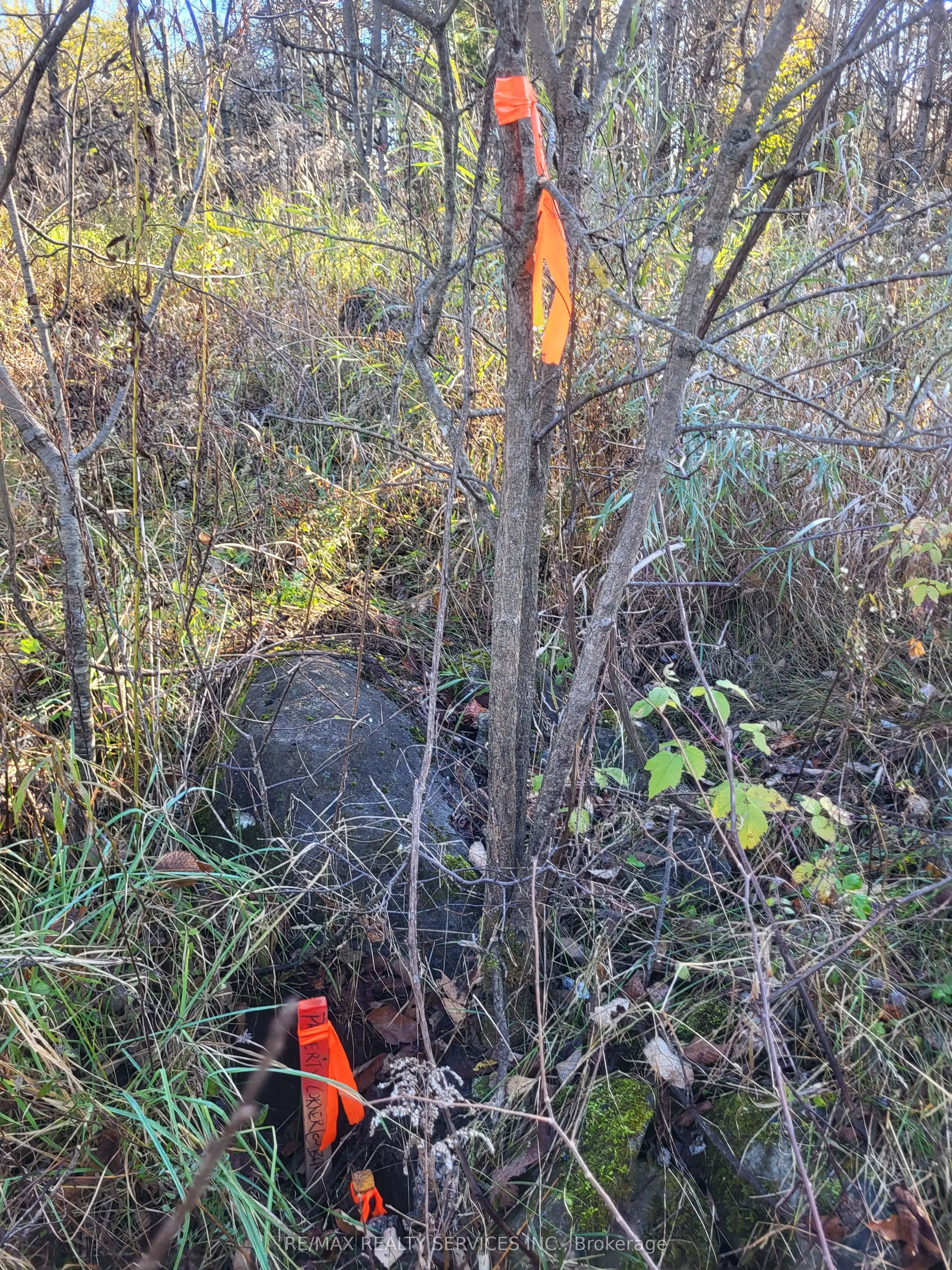395421 Concession 2 Road