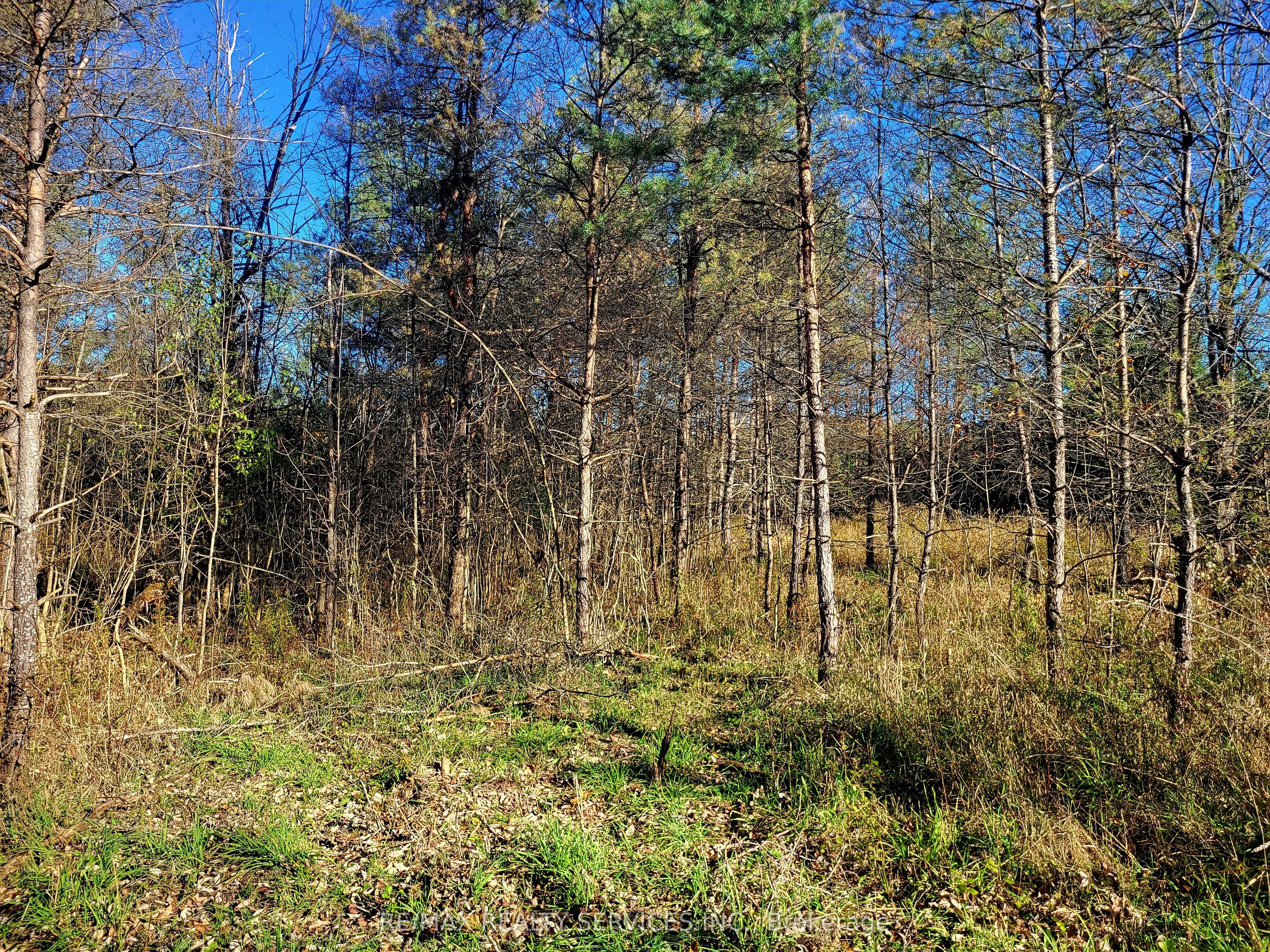 395421 Concession 2 Road