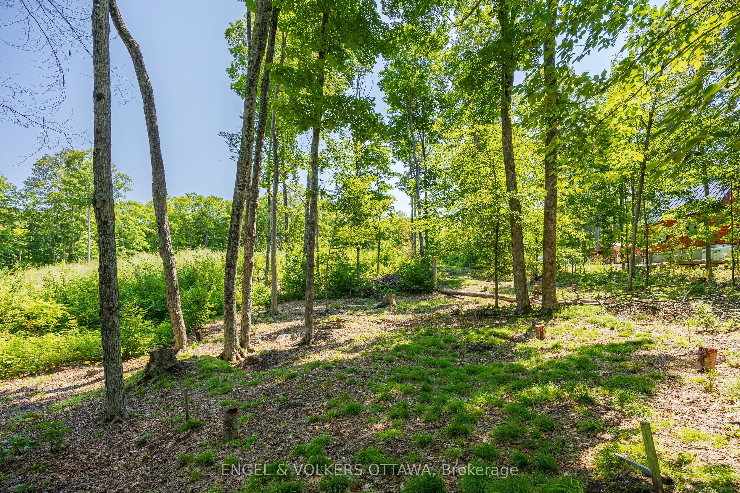 223 Shady Maple Road