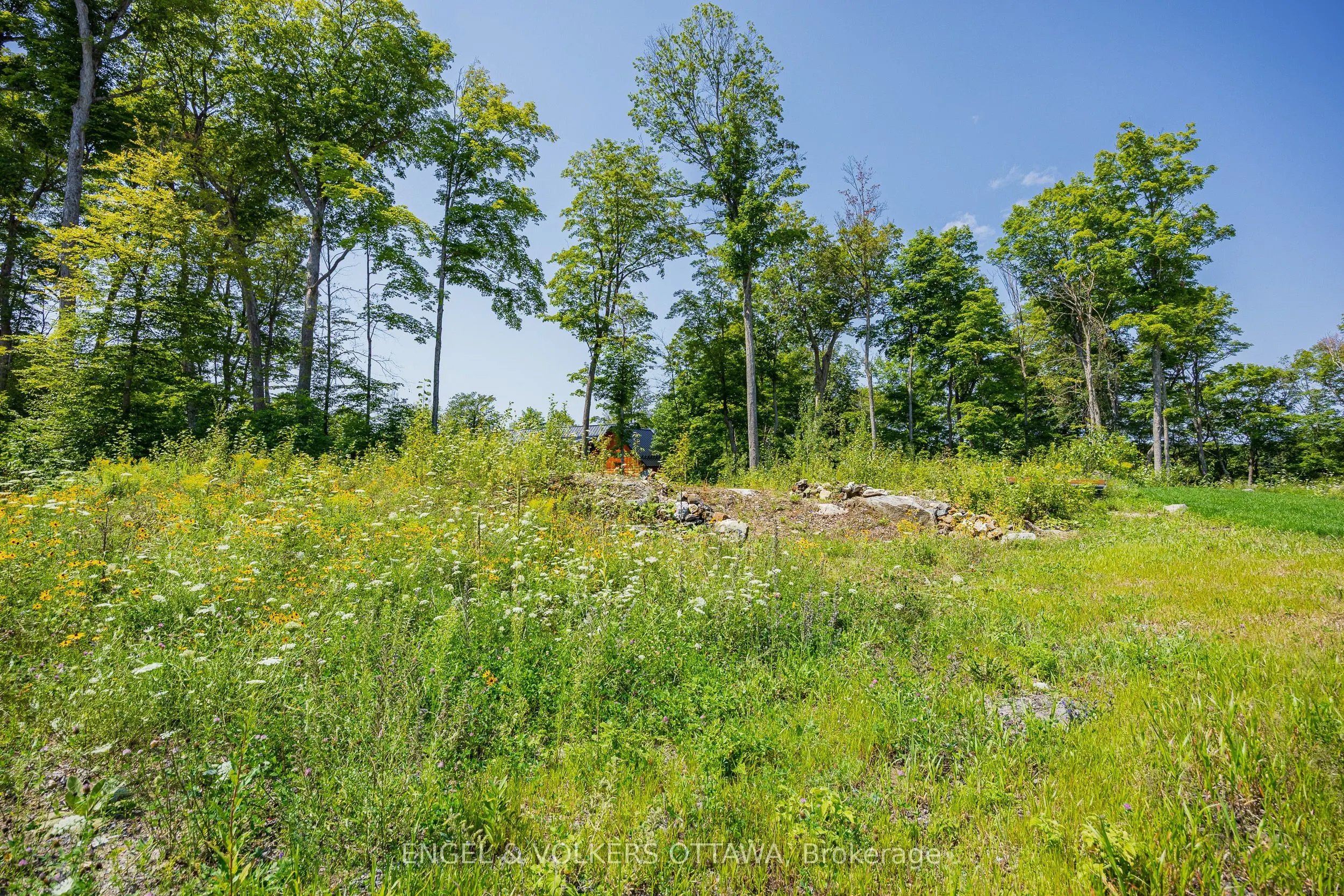 223 Shady Maple Road