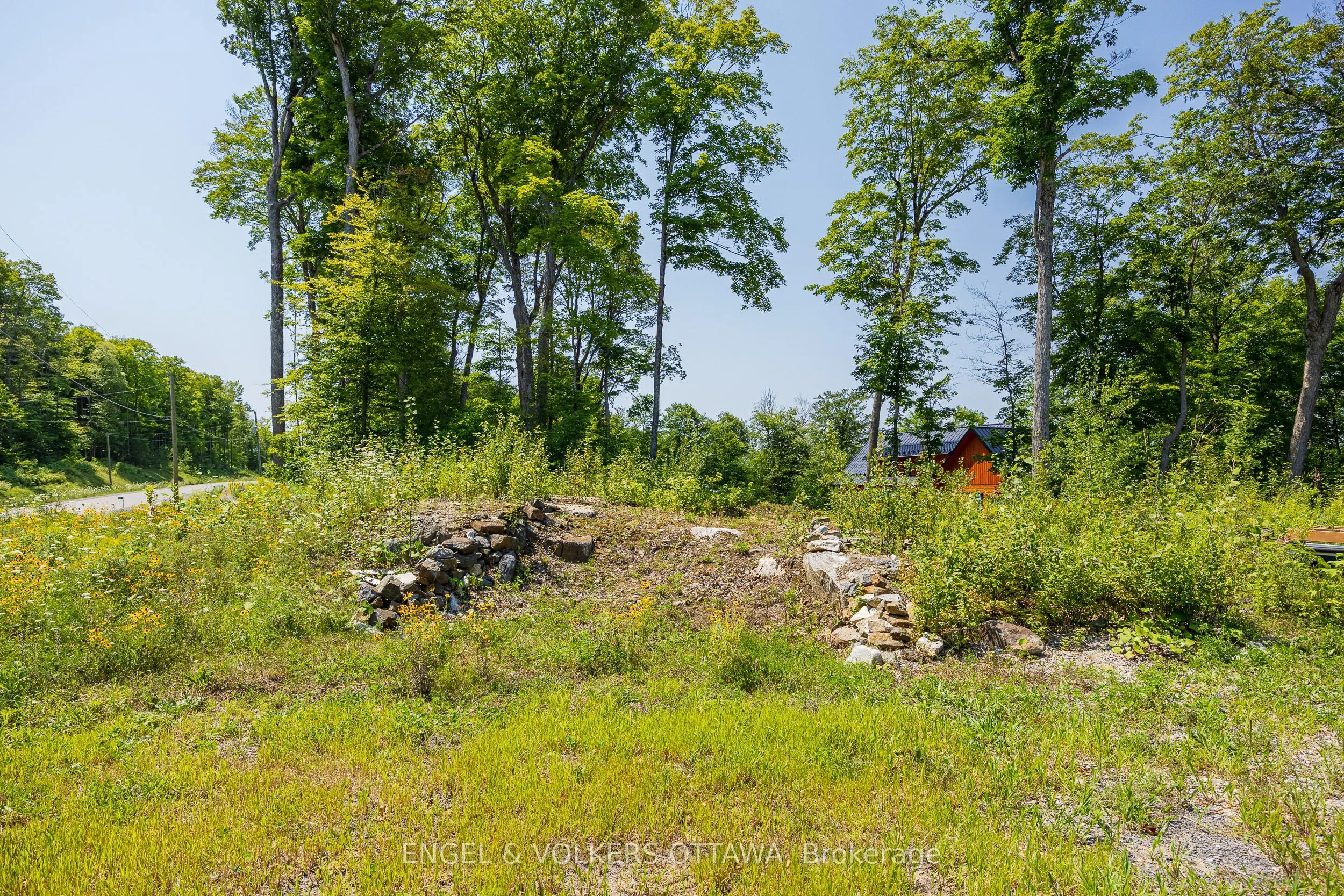 223 Shady Maple Road